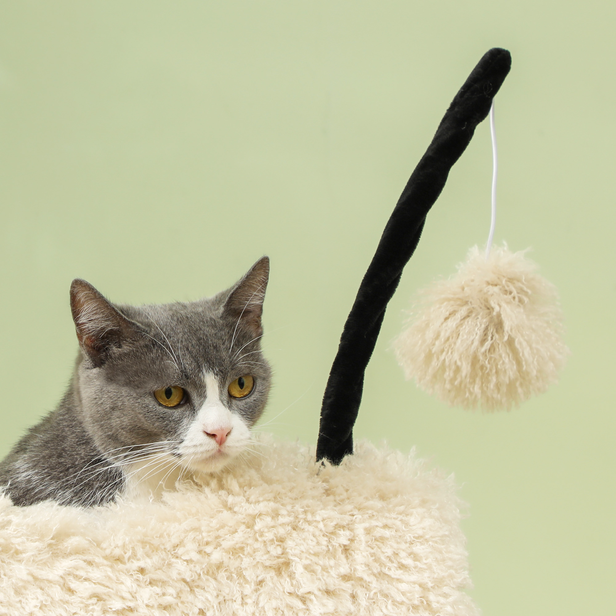 Katzenbaum im Schaf-Design, mit Kratzpfosten, Tunnel und Spielzeug, 98 cm, Hellbraun