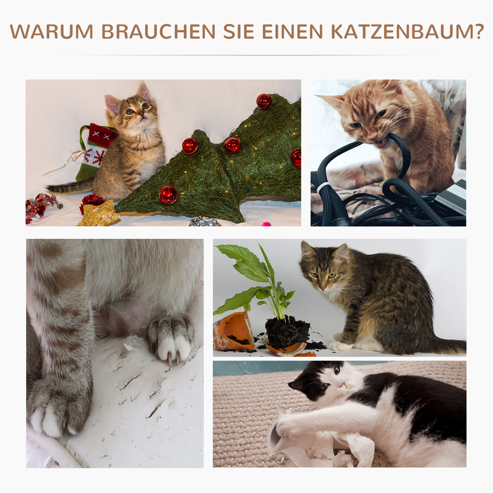 Kratzbaum 65 cm Kleiner Katzenbaum mit Katzenbett, Liegeplattform, Katzenkratzbaum mit Sisalsäulen Katzenmöbel für Katzen bis 3,5 kg, Grau