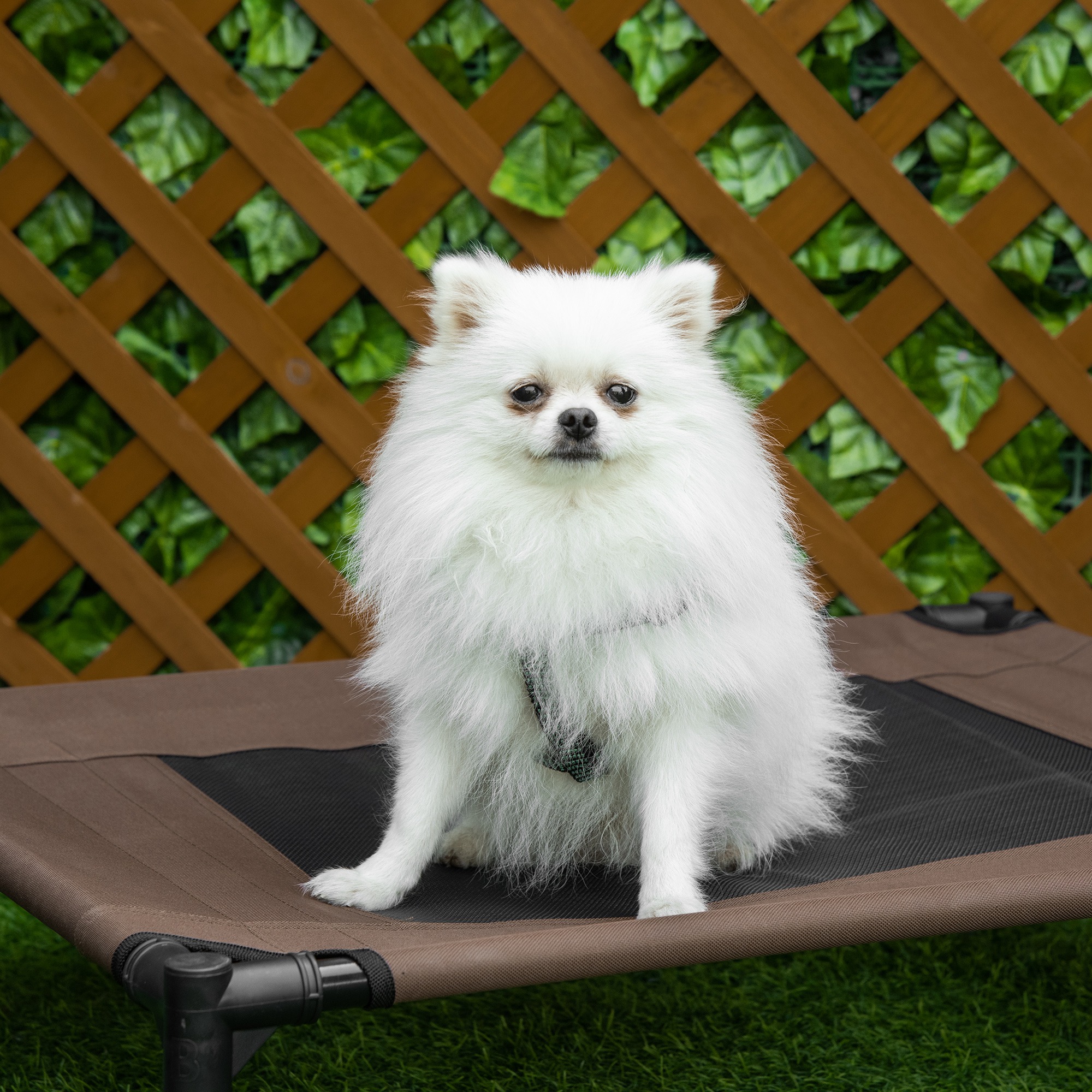 Hundeliege Outdoor, erhöhtes Hundebett für Mittelgroße Groß Hunde, stabile Haustierliege mit Waschbares Mesh, Katzenbett Haustierbett Schlafplatz für Draußen Camping, 76 x 61 x 18 cm, Braun