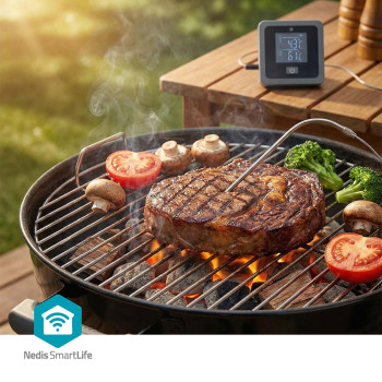 Fleisch-Thermometer | Bluetooth | 2 Probes