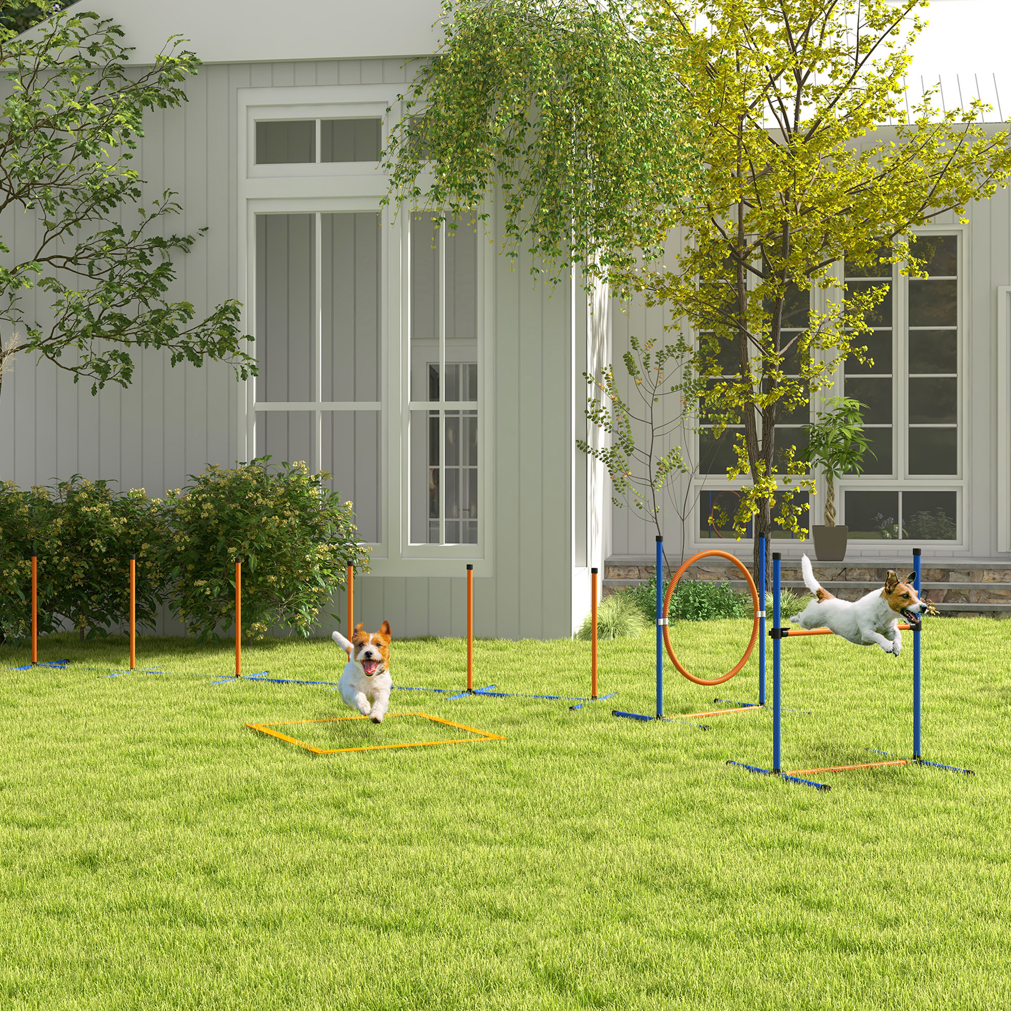 Hunde-Agiliy-Set Hundeparcours, 1 Reifen, 1 Hürde, 1 Slalom-Set, 352 cm x 66 cm x 69 cm, Blau + Rot