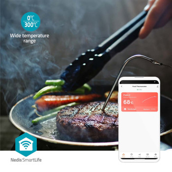 Fleisch-Thermometer | Bluetooth | 2 Probes