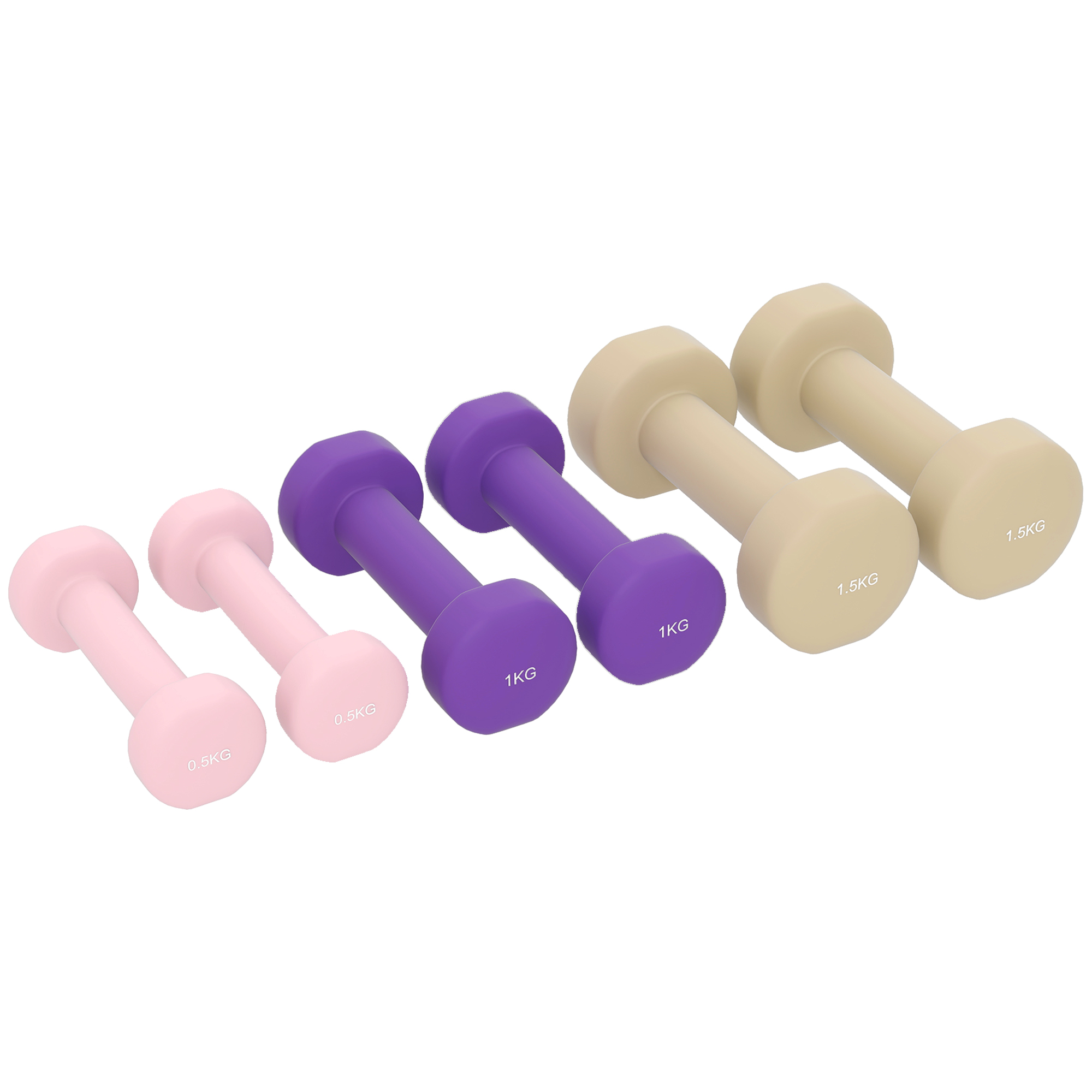 Hantelset 6er Set Hanteln mit Koffer, Gewichten, 0,5kg, 1kg, 1,5kg verstellbar für Zuhause, Fitnessstudio