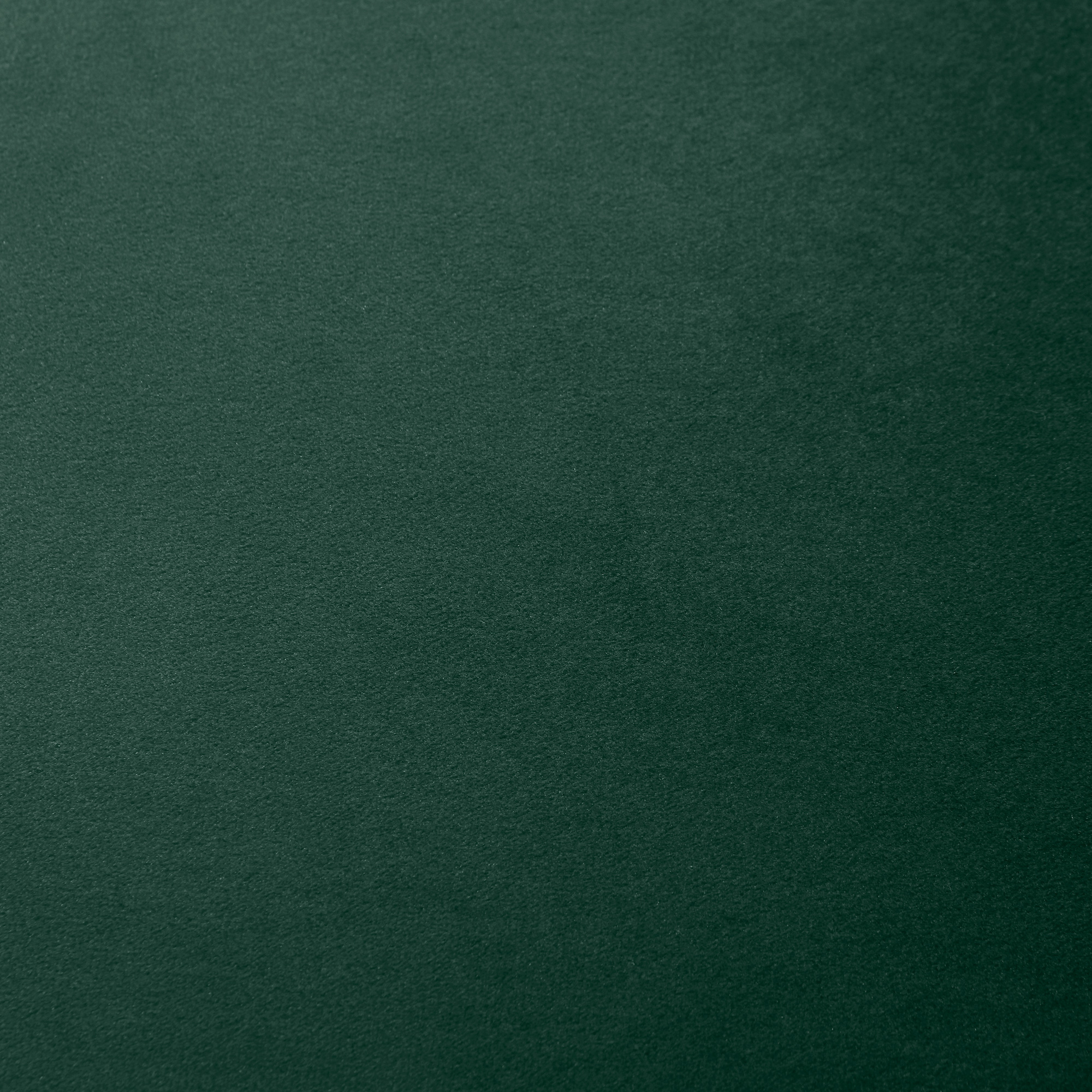 2er-Set Esszimmerstühle Küchenstühle Akzentstühle, 52 cm x 54 cm x 79 cm, Grün