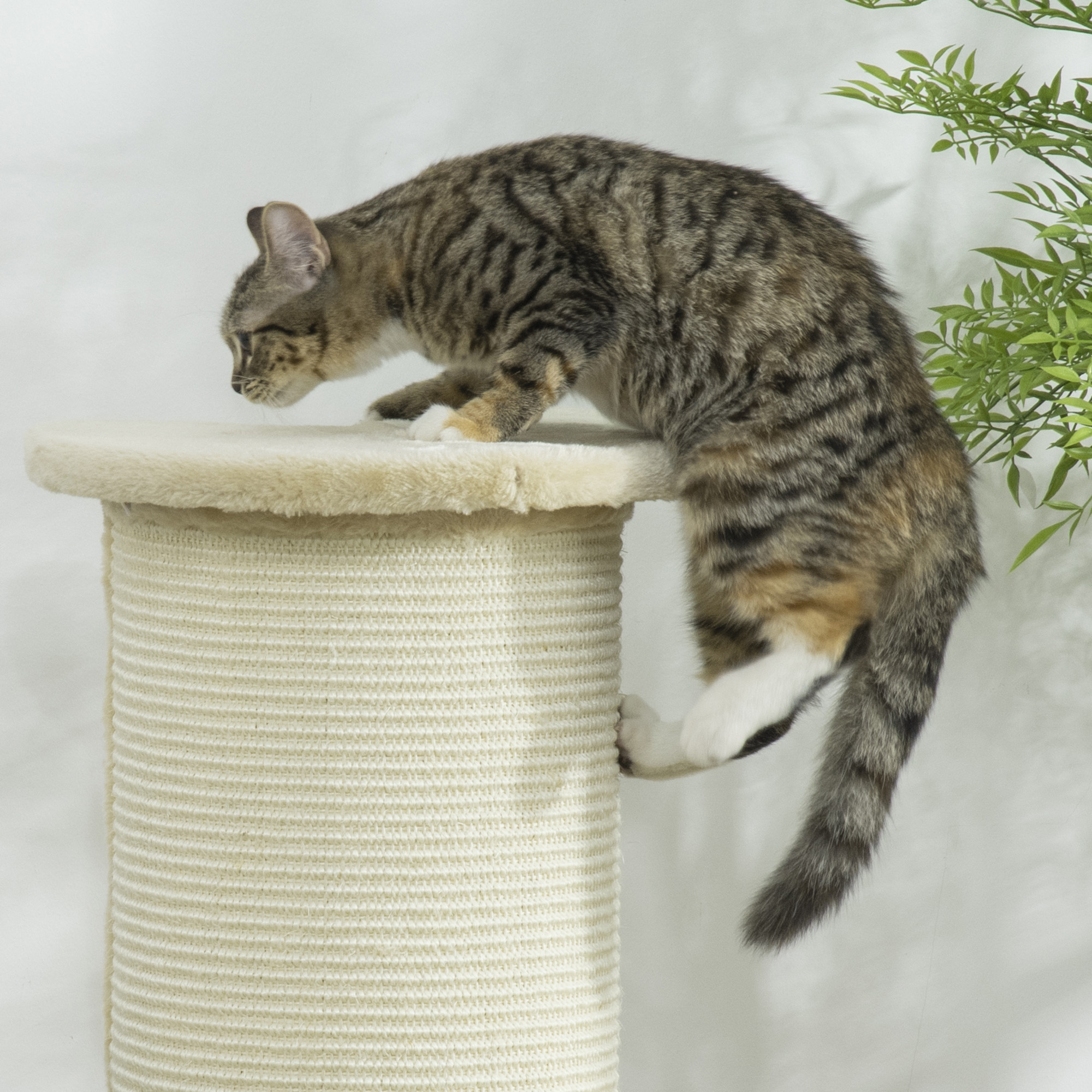 Kratzbrett für Katzen, Eckdesign, platzsparend, 35 cm x 35 cm x 85 cm, Cremeweiß