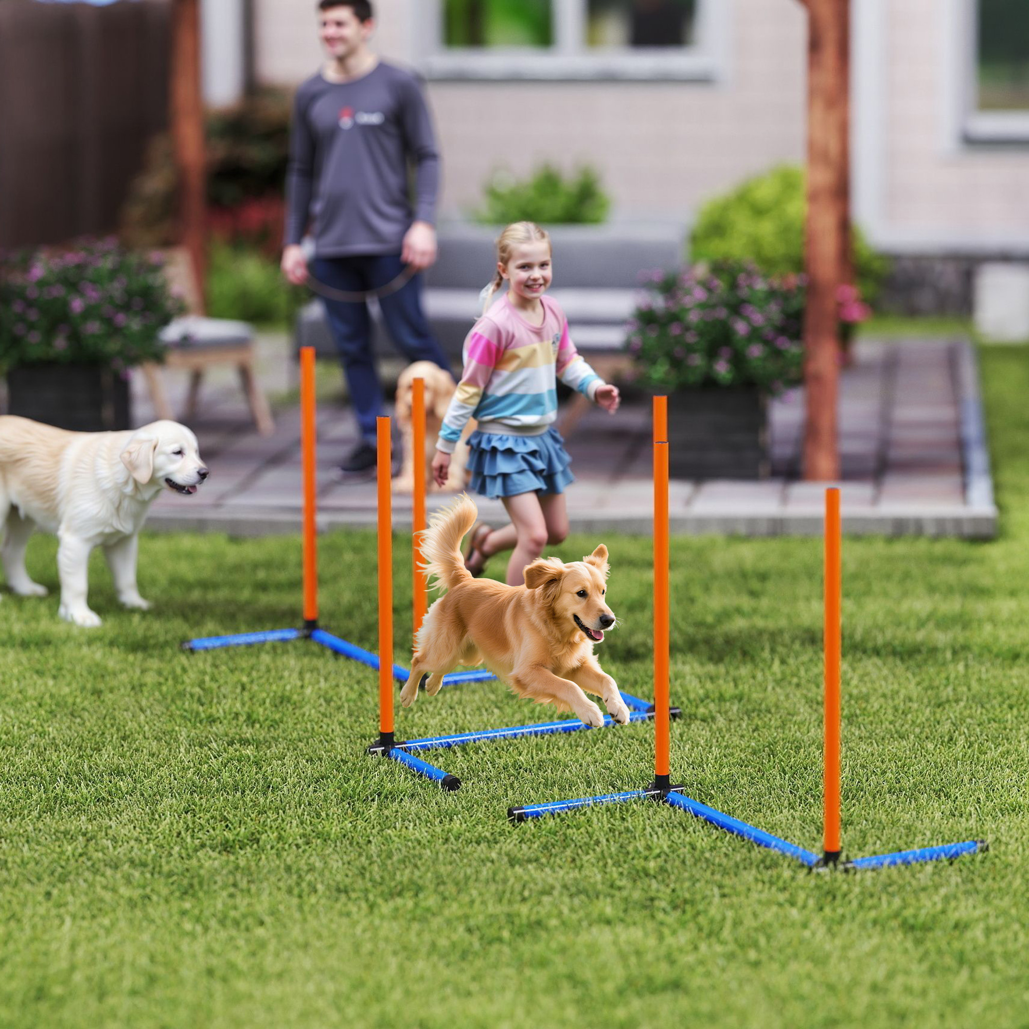Agility Set Hunde 3-teiliges Agility Ausrüstung mit Slalomstangen Tragetasche Trainingsset für alle Hundegrößen Orange