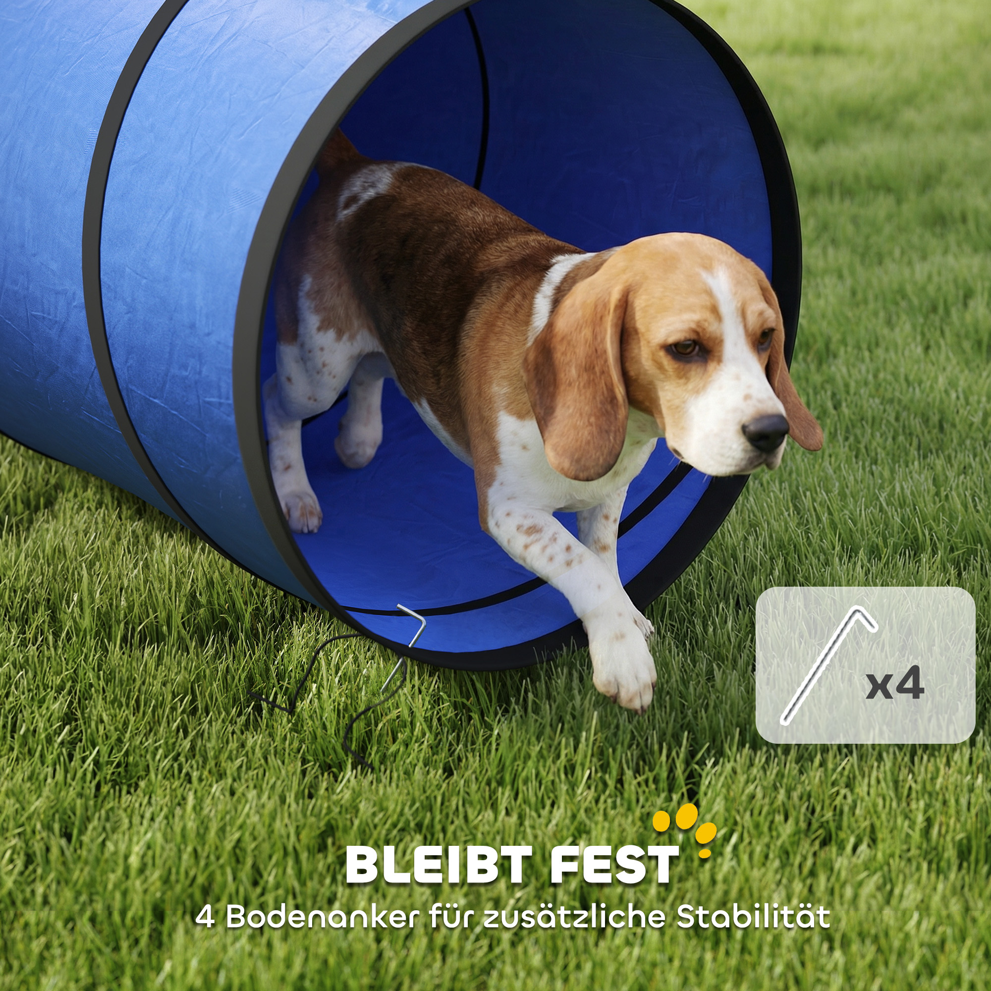 Hunde Agility Tunnel 300 x 50 cm Hundetunnel mit 4 Bodenankern Tragetasche Spieltunnel für kleine mittelgroße Hunde Blau