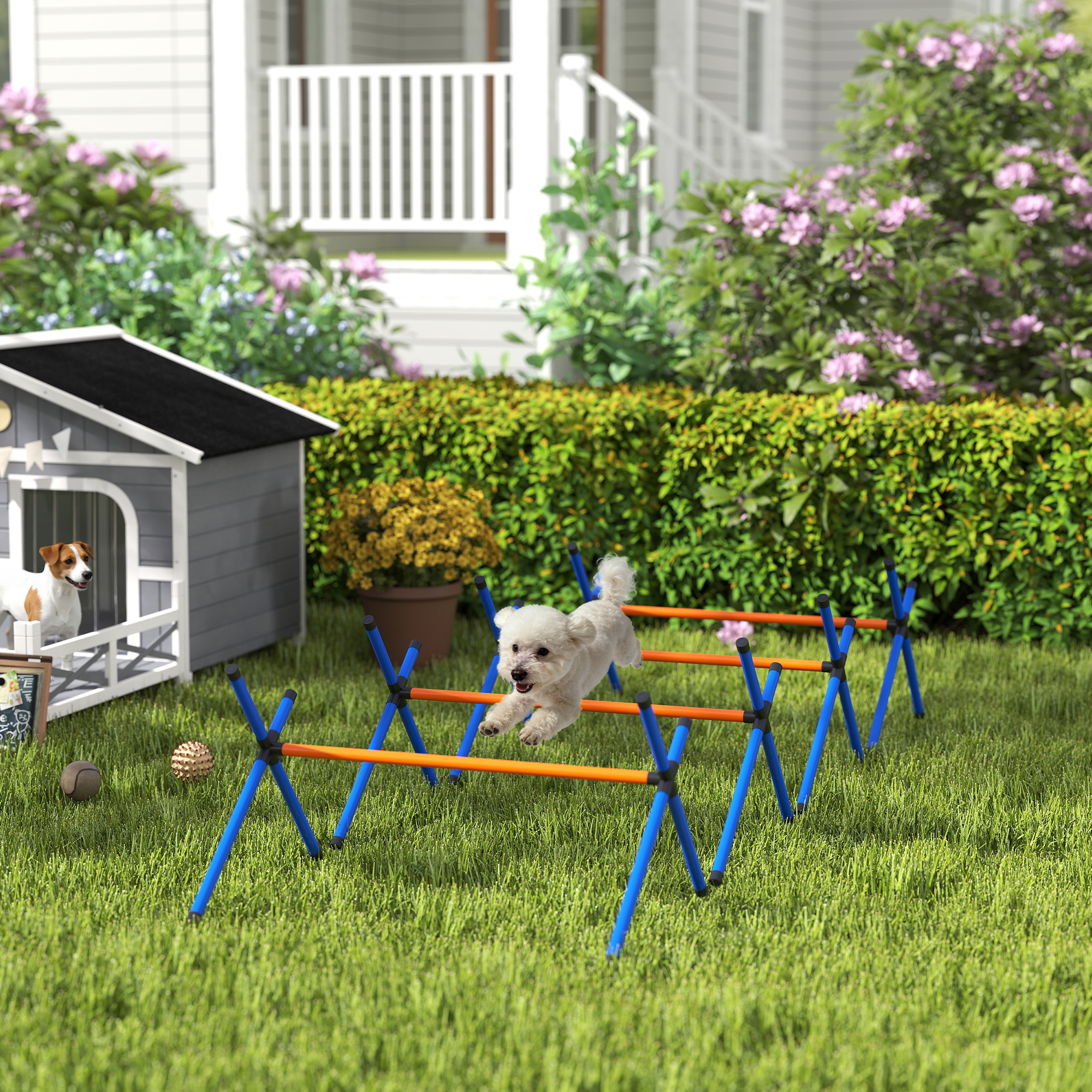 Agility Set Hunde, 4-teiliges Agility Ausrüstung mit Hürden, Tragetasche Höhenverstellbar Trainingsset für kleine Hunde