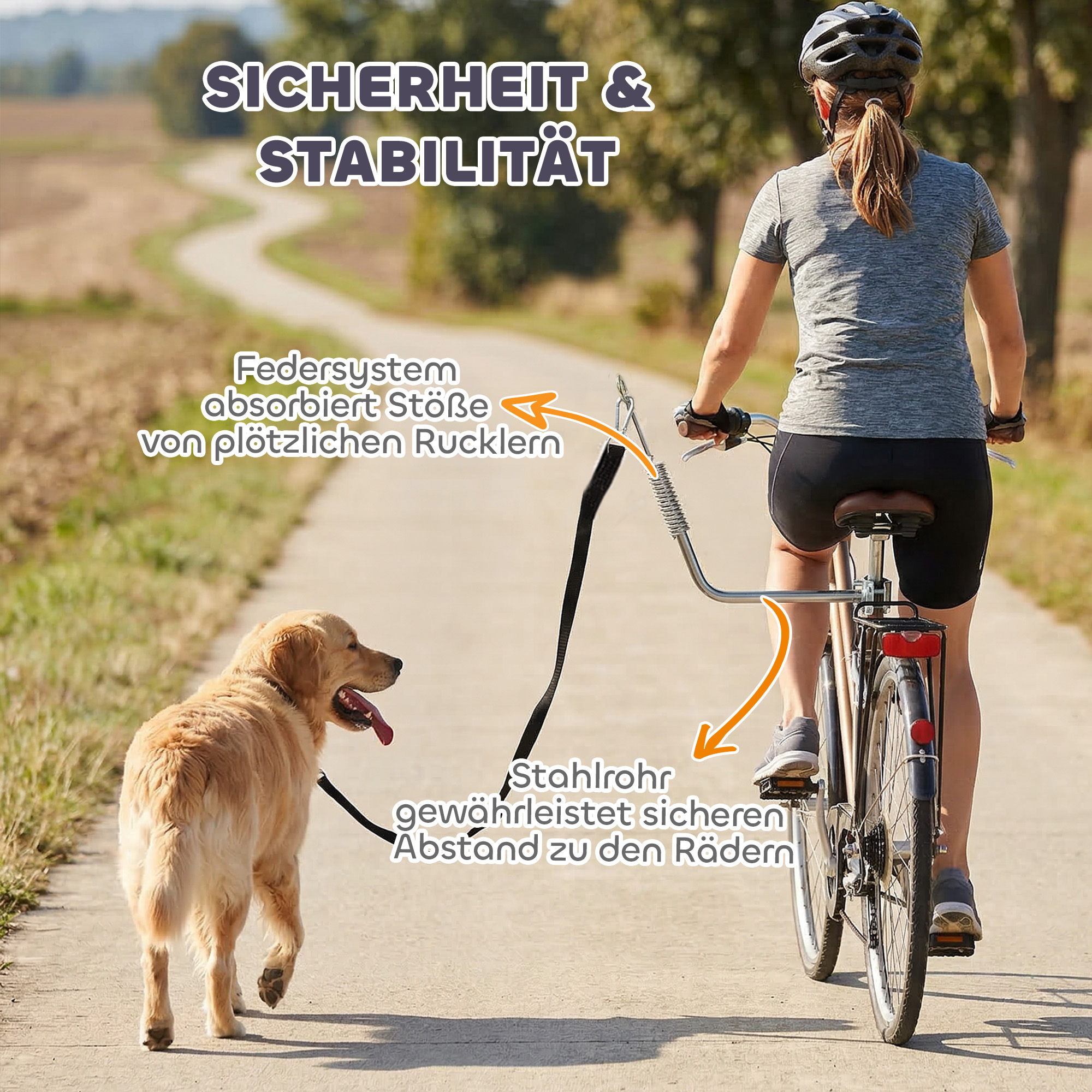 Fahrradleine für Hunde mit Stoßdämpfern verstellbar Gurt abnehmbar Schnellverschluss für Training Joggen Silber+Schwarz