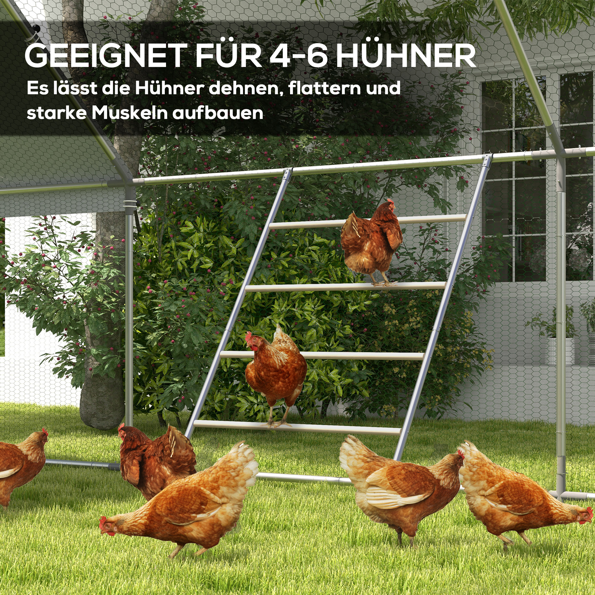 Sitzleiter für Hühner, 4 Sitzstangen, wetterfest, für 4-6 Hühner, Stahl/Holz