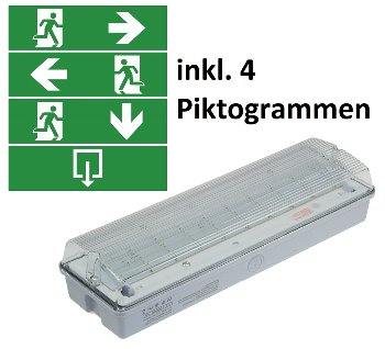 LED Fluchtwegleuchte "NL-W1" 30 LEDs, Erkennungsw. 25m,Wandmontage, IP65