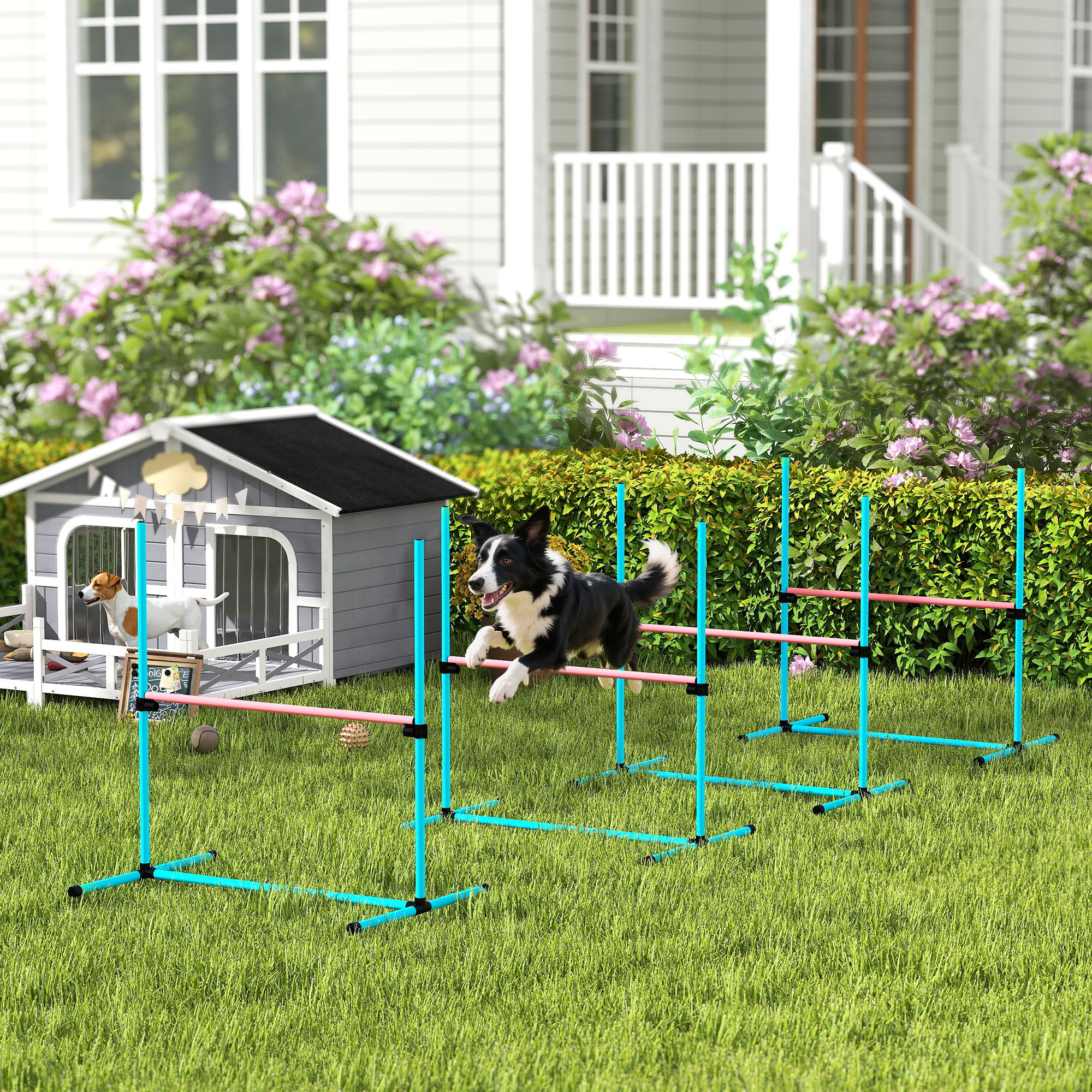 Agility Set Hunde 4-teiliges höhenverstellbar Agility-Ausrüstung mit 4 Hürden Tragetasche 99 x 65 x 94 cm Hellblau