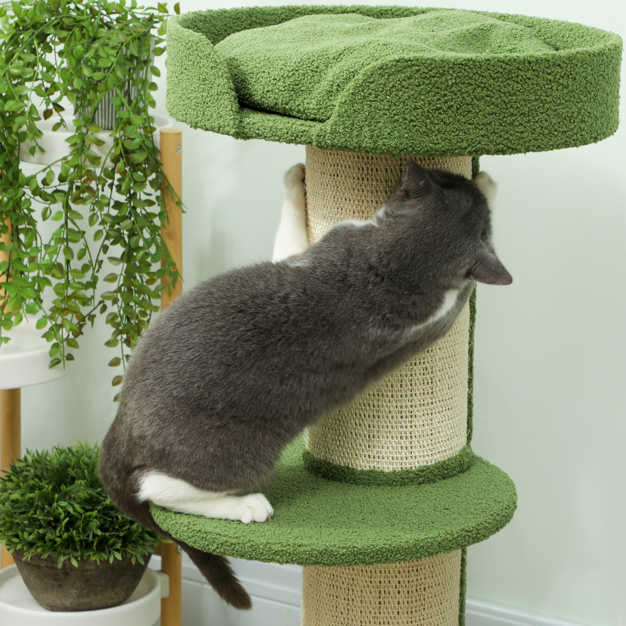 Katzenbaum  91cm Spielbaum mit Katzenbett, Plattform Lammwolle Grün