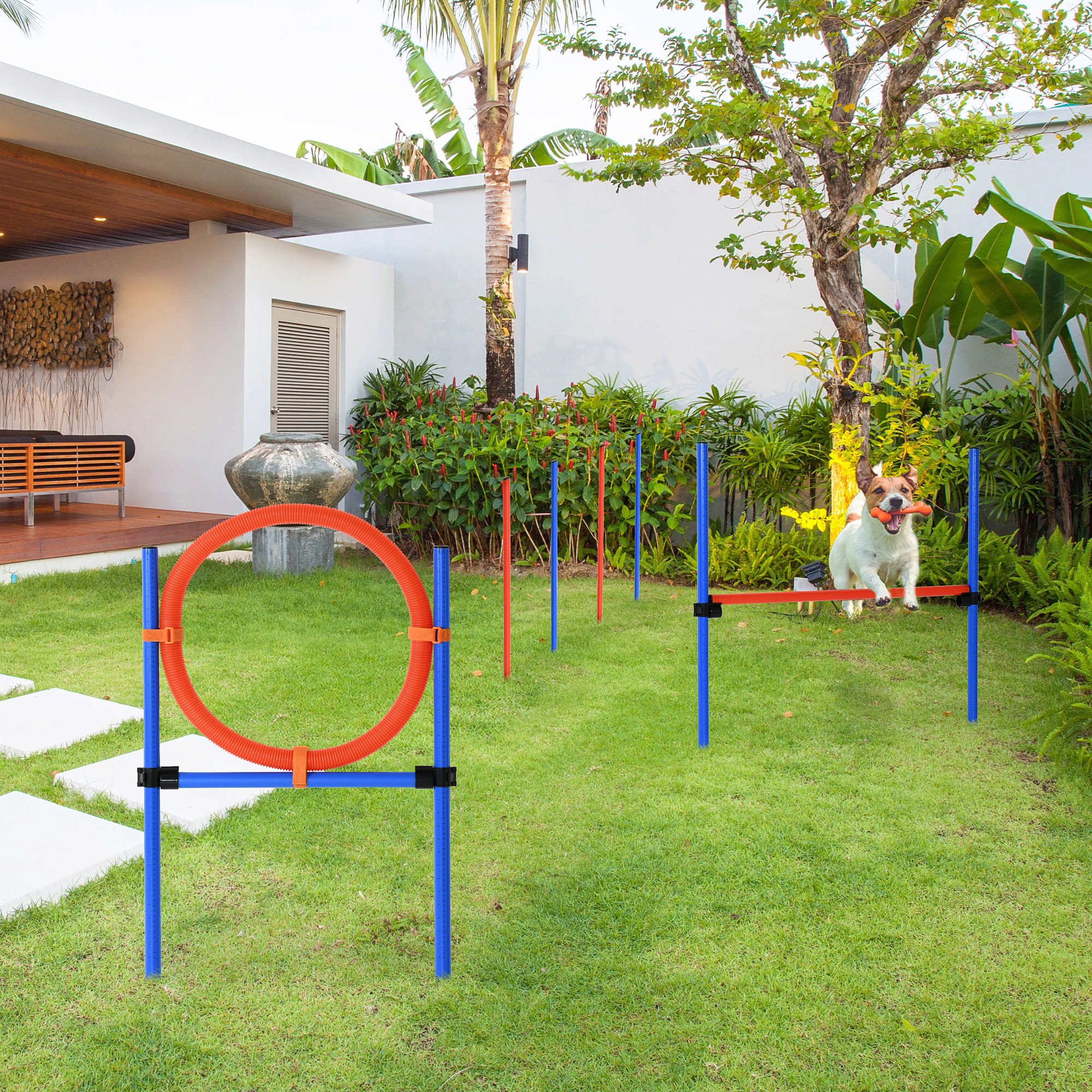 Agility Set Hunde, 3-teiliges Agility Ausrüstung mit Hürden, Slalomstangen, Springring, Aufbewahrungstasche, Steckhürdenset für Hundetraining, Trainingsset für Hunde Blau+Rot