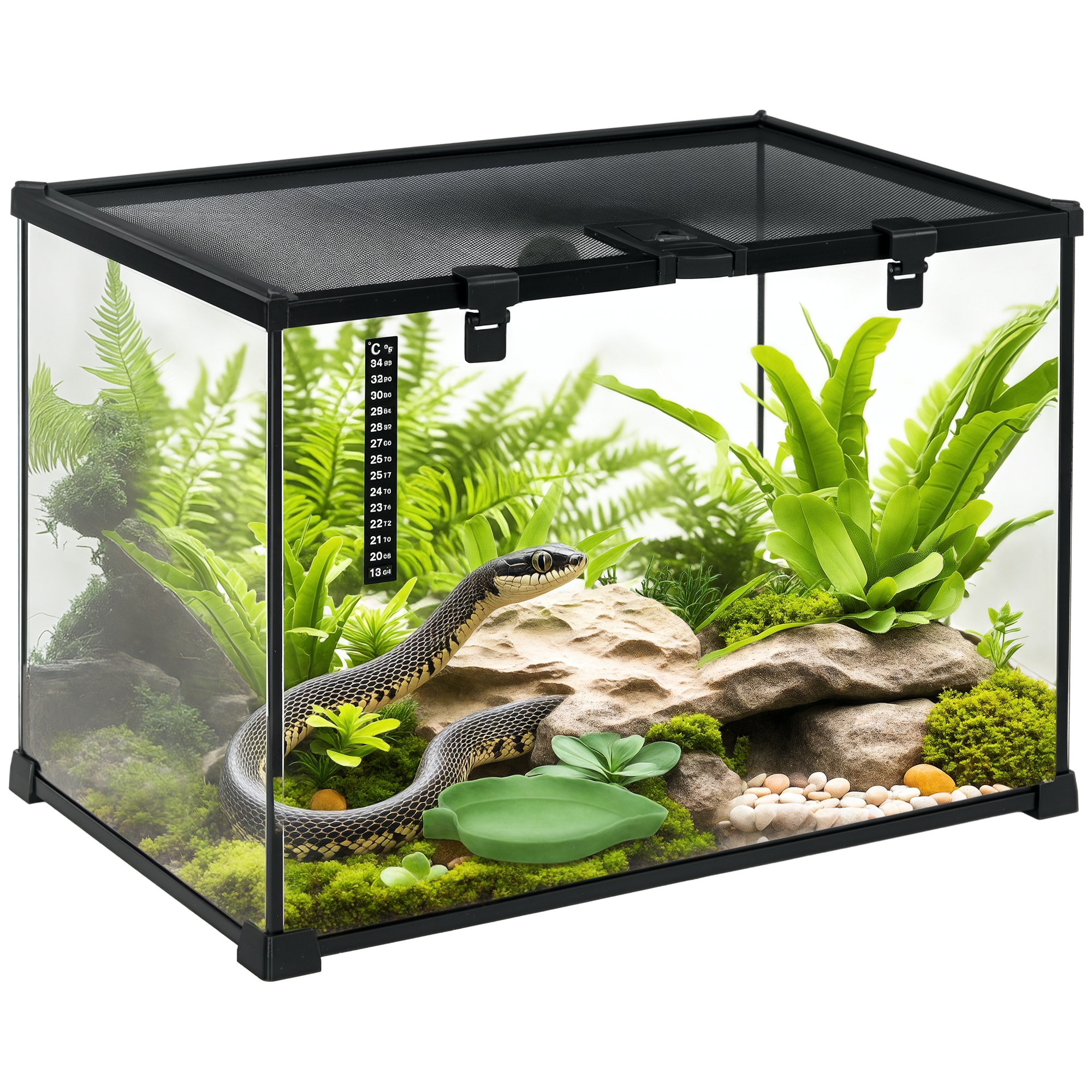 Terrarium für Reptilien Reptile Fütterungsbox Glasterrarium Amphibien Spinnentiere mit Thermometer Reptilienzuchtbox für Schnecken Amphibien Insekten Schildkröten Schwarz 50 x 30 x 35 cm