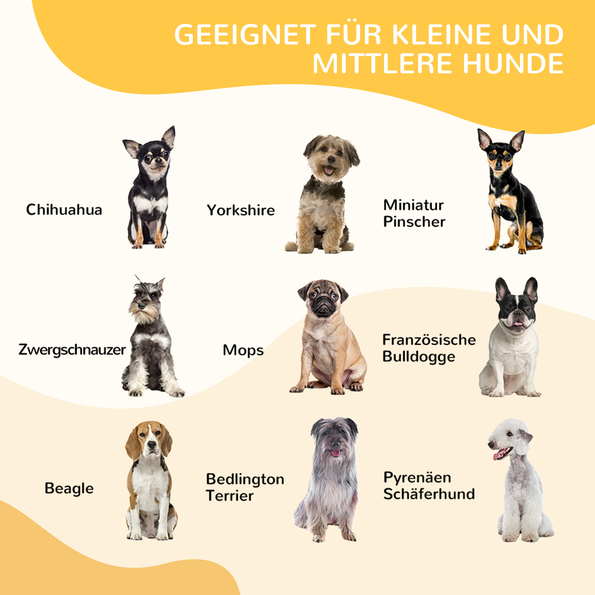 Welpenlaufstall, 8-teilig 80cm hoch Welpenauslauf mit abschließbarer Tür 8 Gitterplatten Stahl Hundelaufstall Freilaufgehege für kleine, mittlere Hunde, für drinnen und draußen, Grau