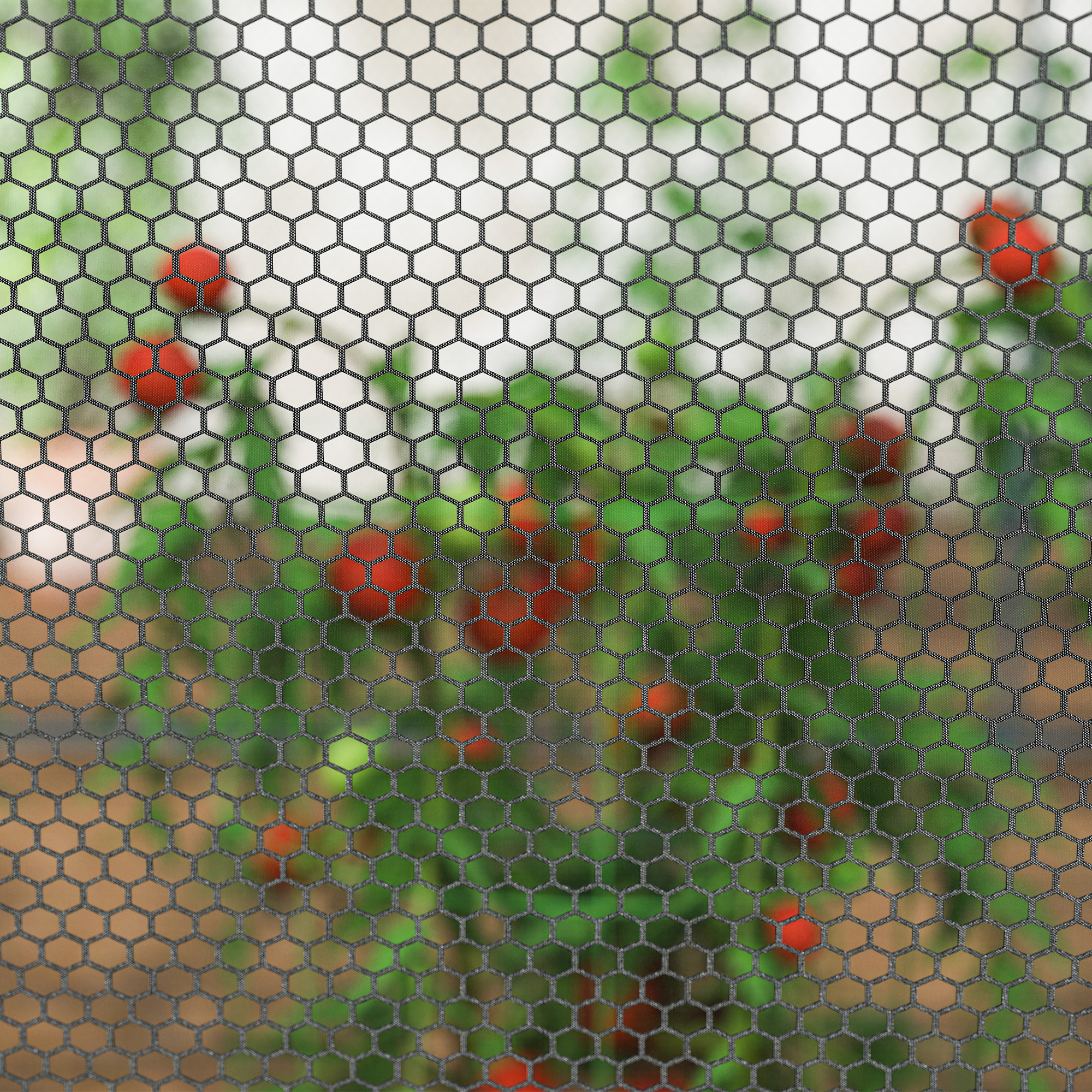 2,49 x 1,2 m Gartennetz, Pflanzenschutzzelt mit Tür, Winddichtes Schädlingsschutznetz mit Stahlrahmen, Schwarz