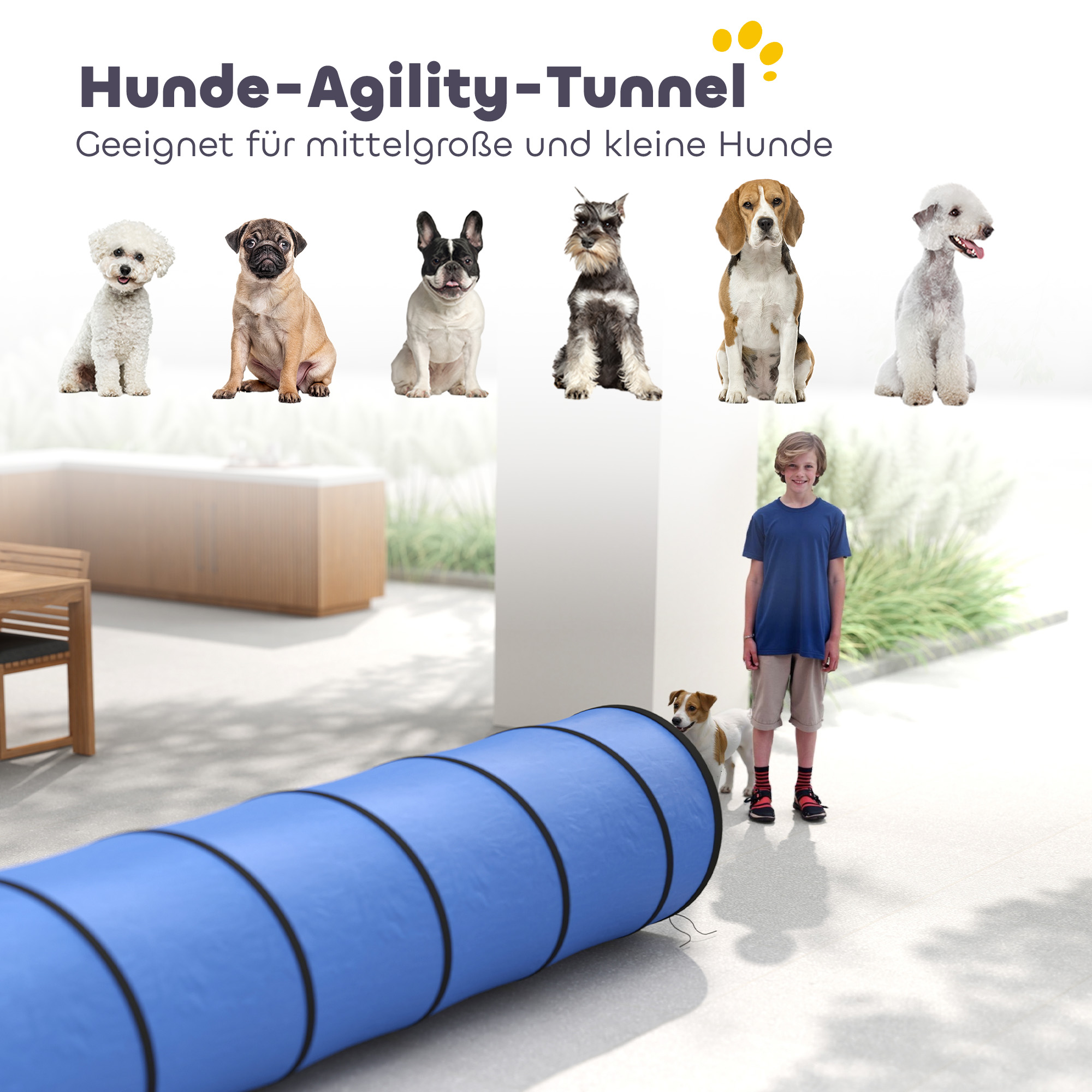 Hunde Agility Tunnel 300 x 50 cm Hundetunnel mit 4 Bodenankern Tragetasche Spieltunnel für kleine mittelgroße Hunde Blau