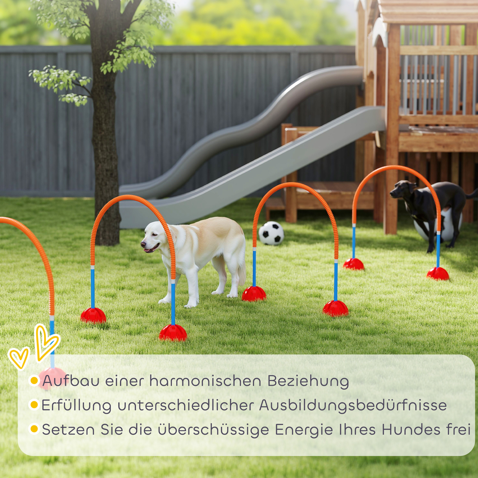 4-teiliges Hunde-Agility-Trainingsgerät mit 4 Türen in verstellbarer Breite, Tragetasche, für Garten, Blau