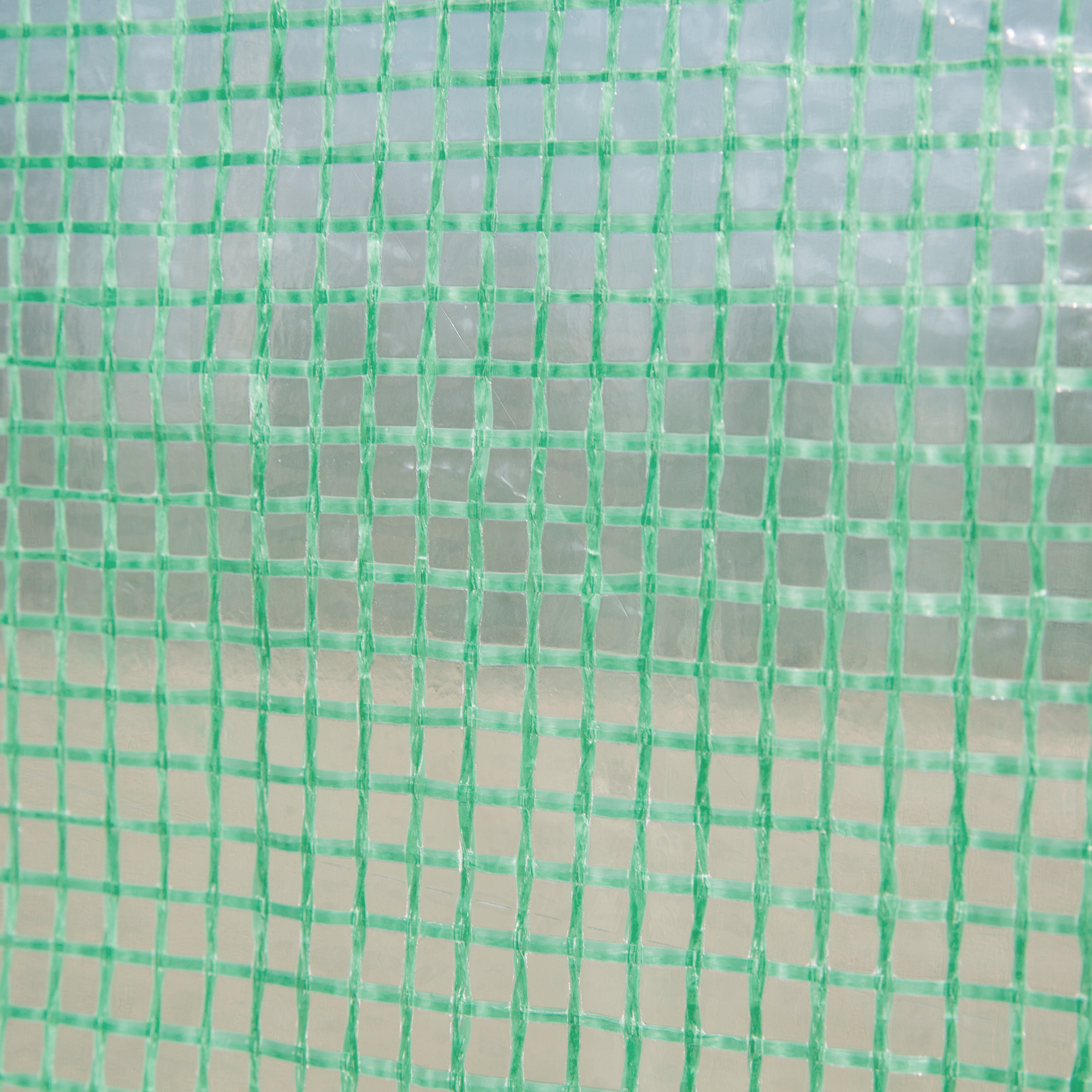 Foliengewächshaus, 6 aufrollbare Fenster, Tür mit Reißverschluss, rostfreier Stahlrahmen, 2,95 x 2 x 2 m, Grün