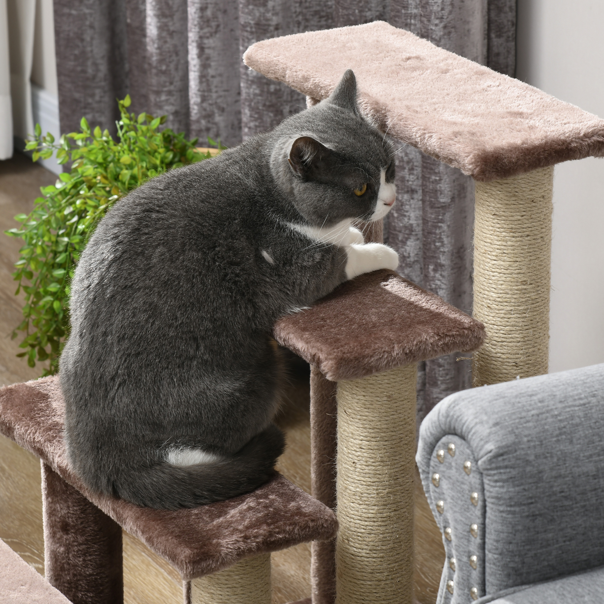 Haustiertreppe, Kratzbaum, 4-stufig, für Tiere bis 5 kg, 60x40x64cm, Braun