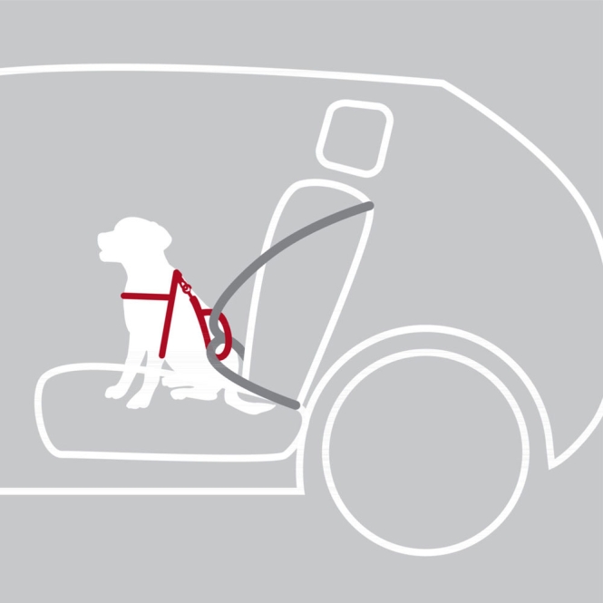 Trixie Auto-Sicherheitsgeschirr Dog Protect - XL: 80-100 cm