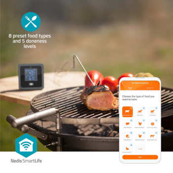 Fleisch-Thermometer | Bluetooth | 2 Probes
