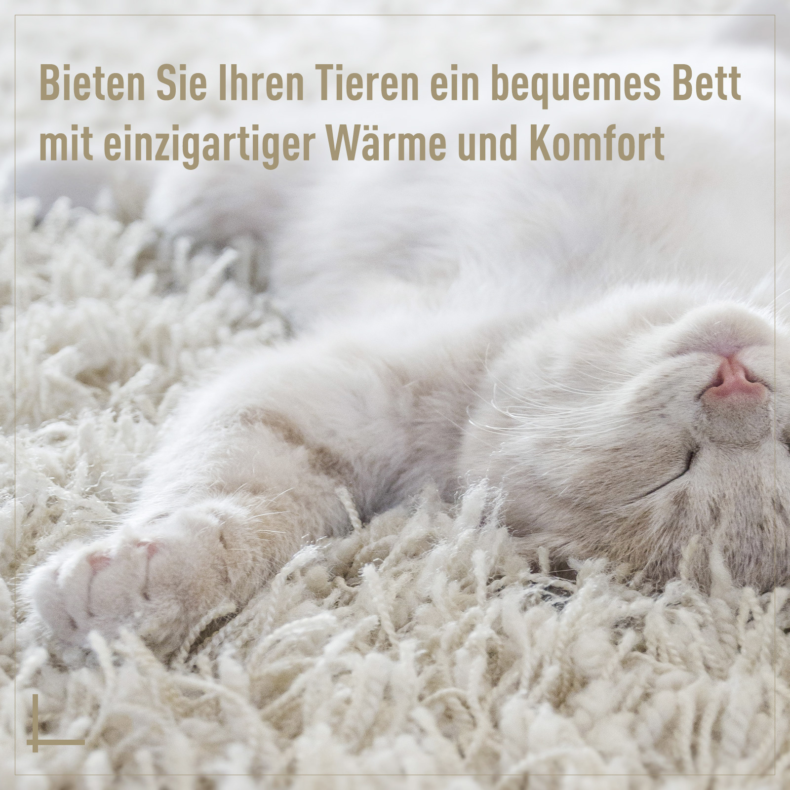 Rattan Katzenhöhle Katzenbett Katzenhaus mit Kissen Katzenzelt Haustierhaus für Katzen Hunde Beige Ø56 x 35 cm