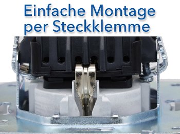 DELPHI Schutzkontakt-Steckdose, silber / 250V~/ 16A, Steckanschluss, ohne Rahmen
