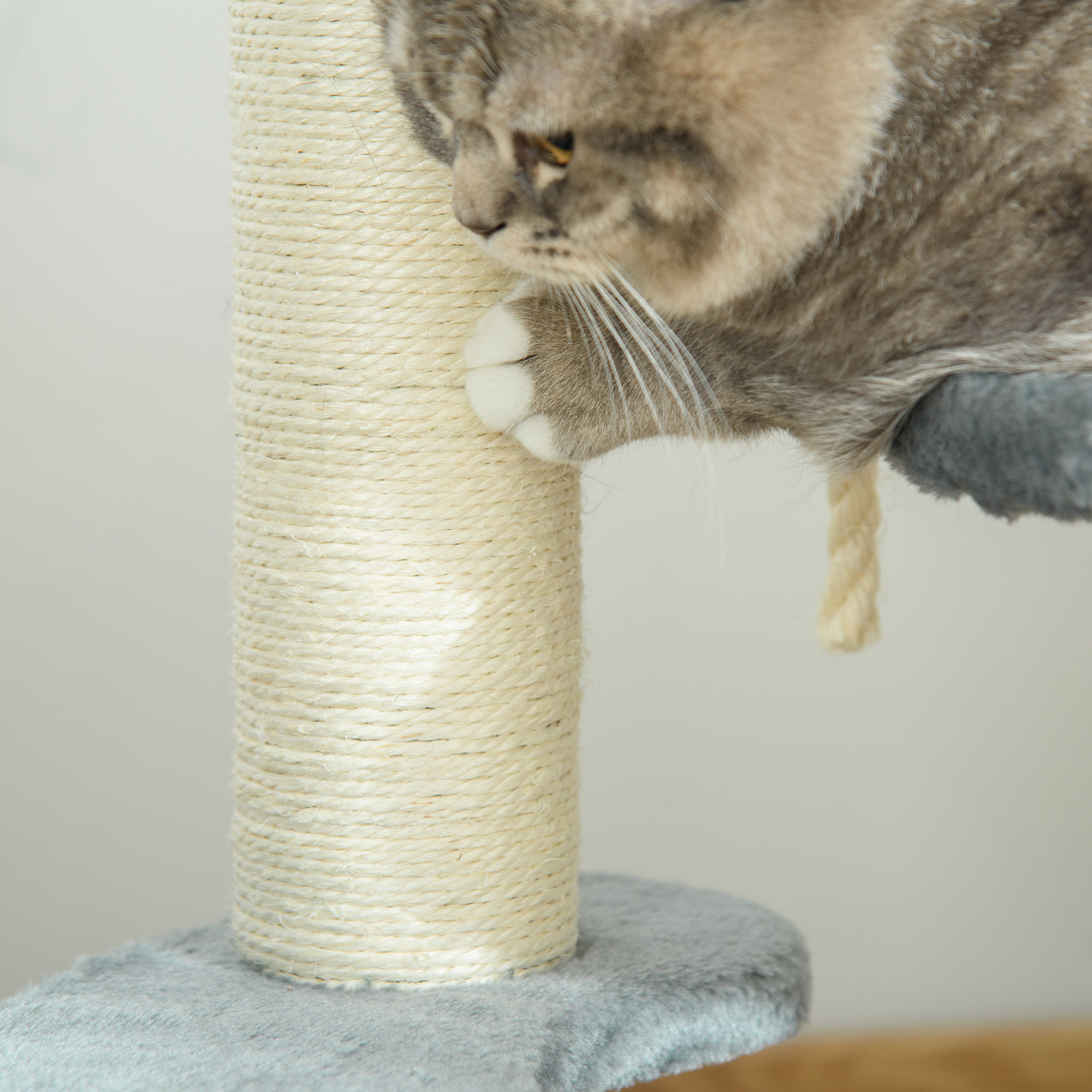 Kratzbaum 65 cm Kleiner Katzenbaum mit Katzenbett, Liegeplattform, Katzenkratzbaum mit Sisalsäulen Katzenmöbel für Katzen bis 3,5 kg, Grau