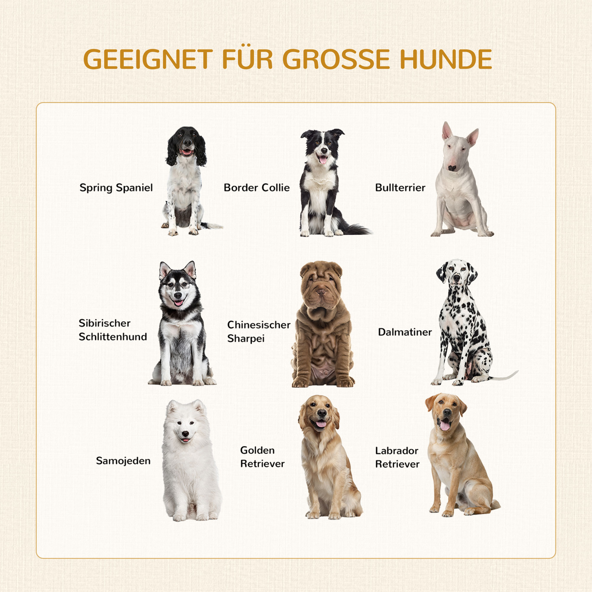 Hundebox, inkl. weicher Matte, 2 Türen, 2 Türen, verriegelbar, Stahl, Weiß, 94 x 60 x 71,5 cm