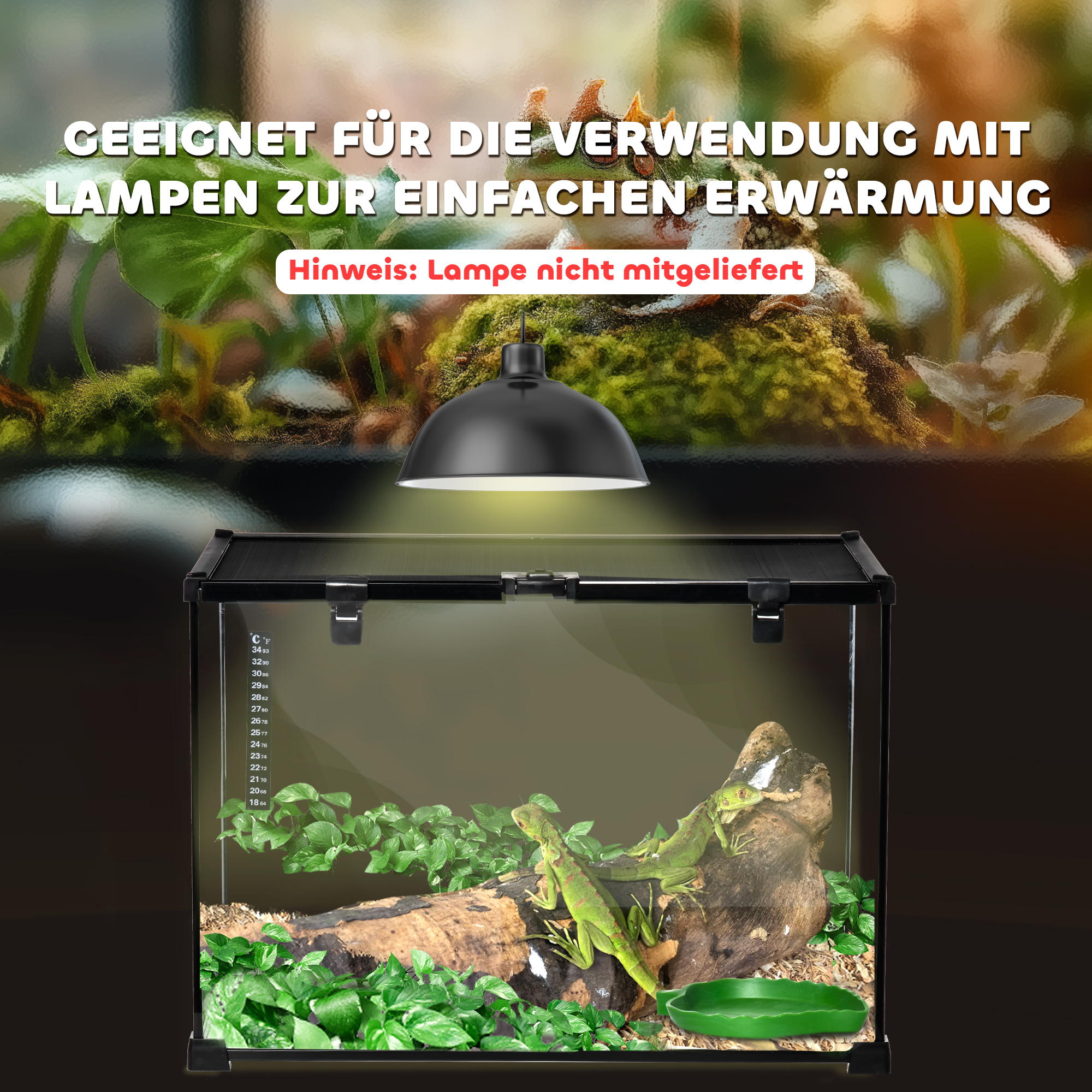 Terrarium für Reptilien Reptile Fütterungsbox Glasterrarium Amphibien Spinnentiere mit Thermometer Reptilienzuchtbox für Schnecken Amphibien Insekten Schildkröten Schwarz 50 x 30 x 35 cm