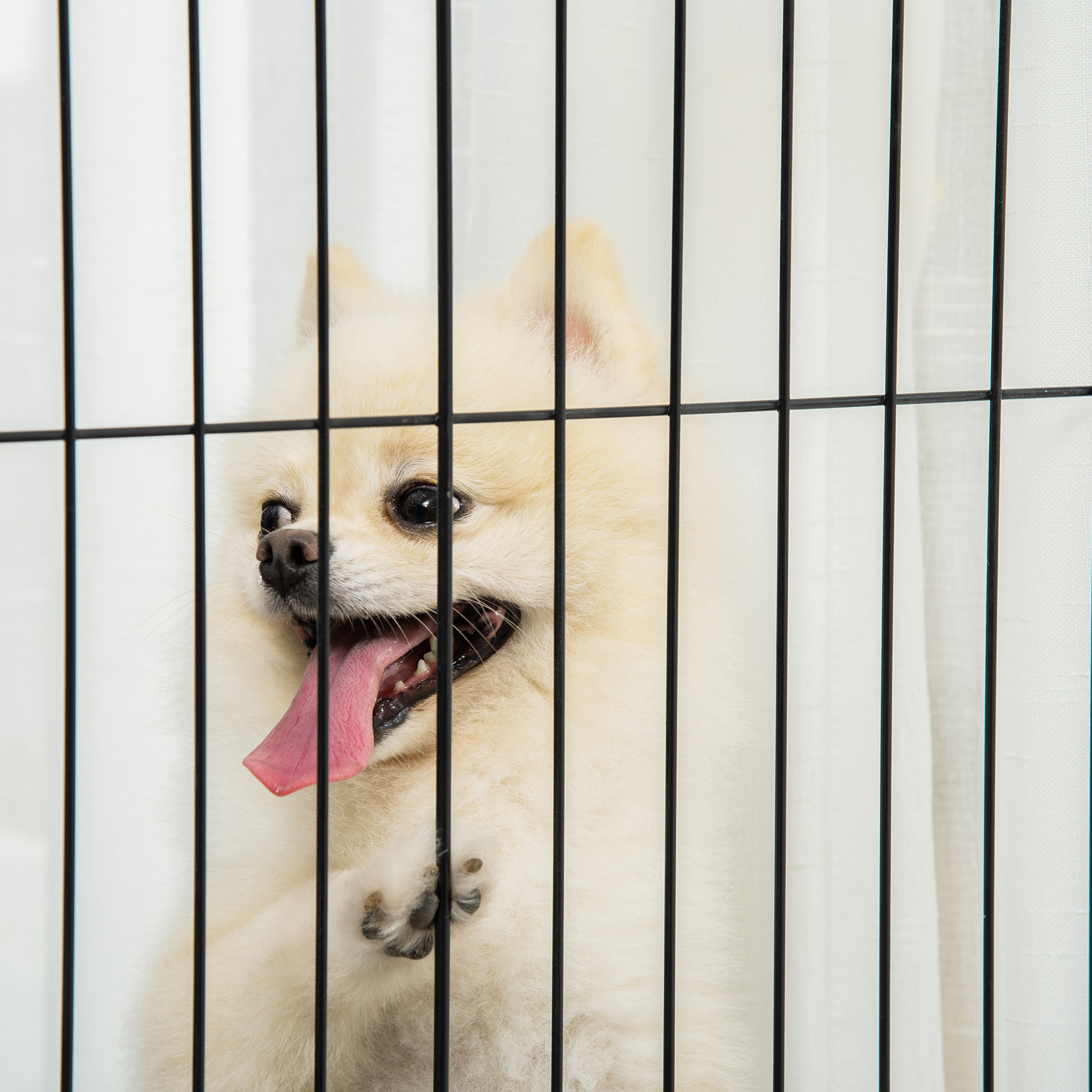 Absperrgitter Hund Freistehendes Schutzgitter mit Füßen 305 x 82 cm Holz Hundegitter Klappbar Treppenschutzgitter Hundeabsperrgitter für Treppen, Türen, Flur, 4 Paneelen, Weiß