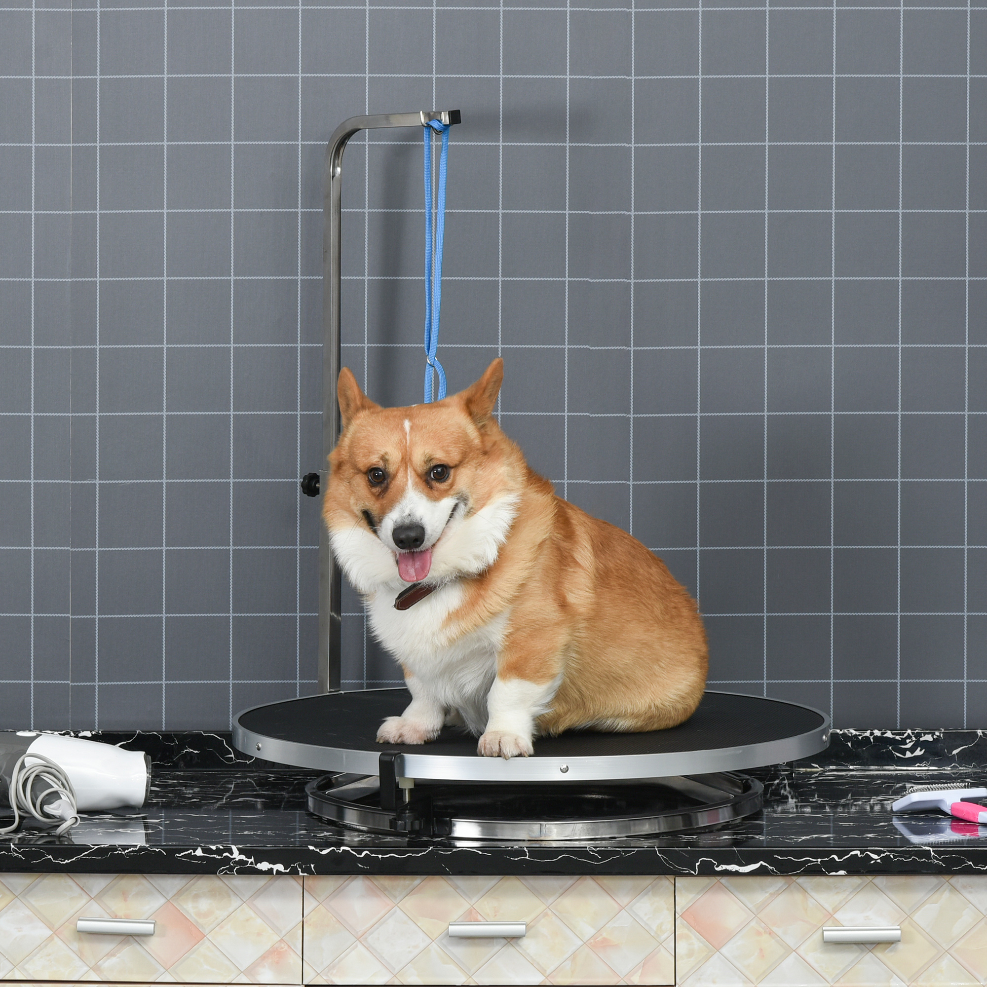 Trimmtisch für Hunde drehbar Hundepflegetisch mit höhenverstellbarem Galgen Schlinge rutschfest Oberfläche Haustierpflegetisch für Haushaltsbaden Haartrocken bis 40 kg Ø65 x 72H cm Schwarz
