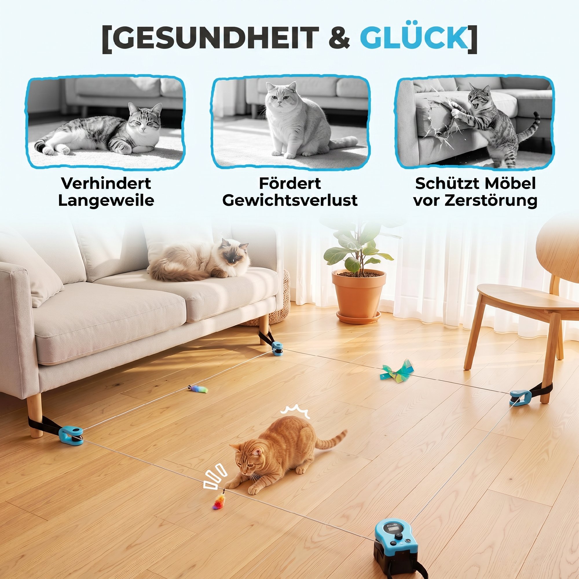 Katzenspielzeug mit einstellbare Geschwindigkeit anpassbaren Laufwegen Schwarz