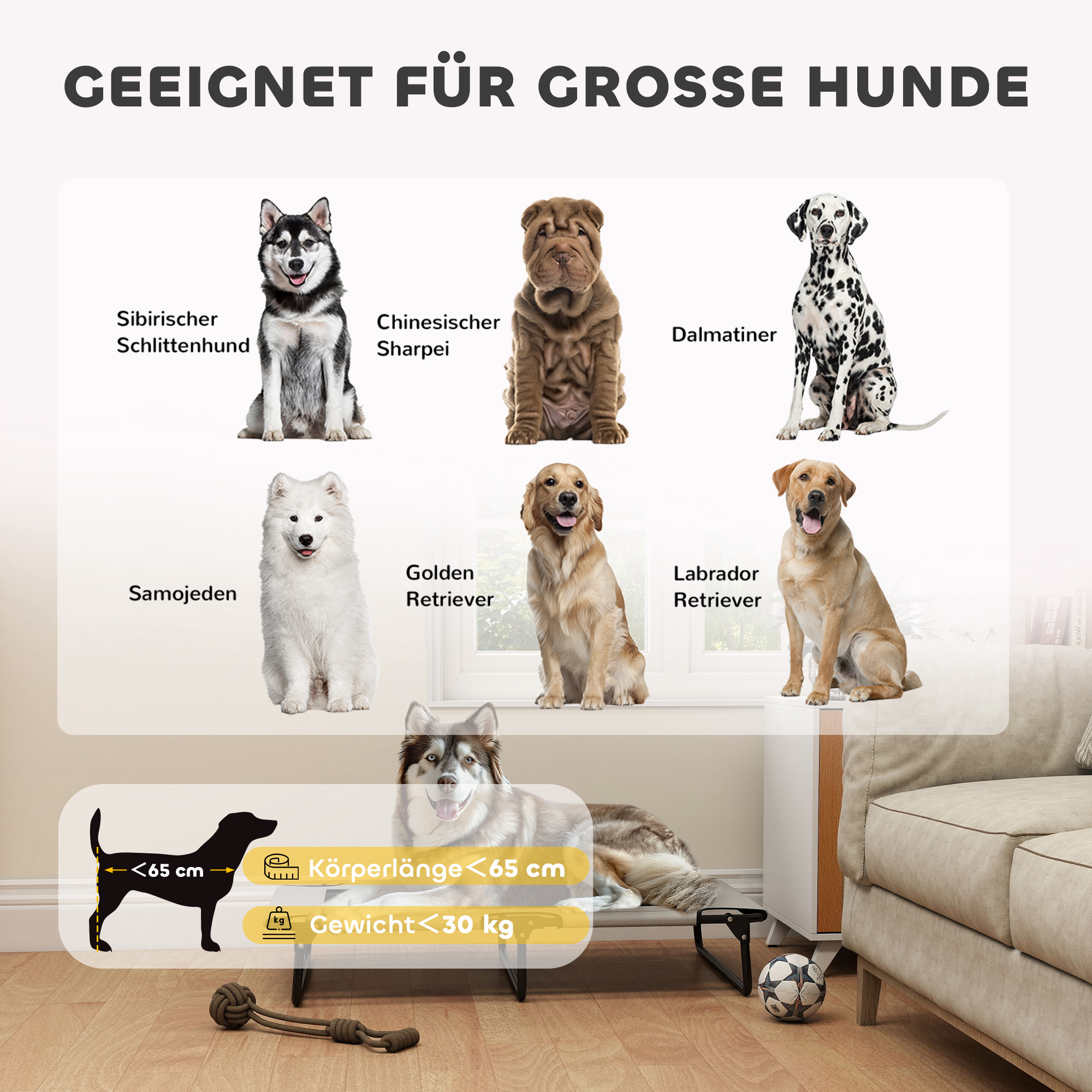 Tragbares erhöhtes Hundebett, erhöhtes Haustierbett mit atmungsaktivem Netz, für große Hunde, Hellgrau