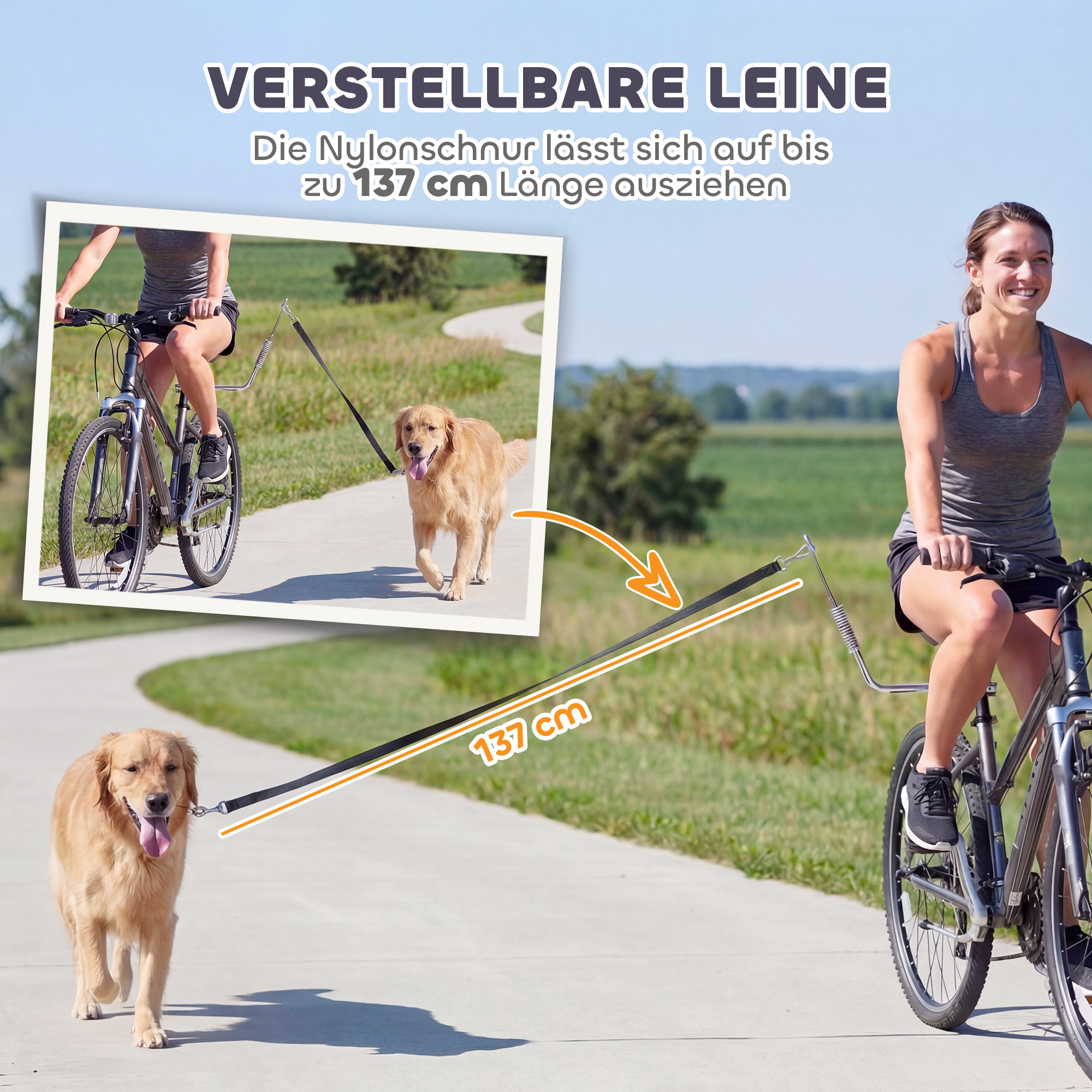 Fahrradleine für Hunde mit Stoßdämpfern verstellbar Gurt abnehmbar Schnellverschluss für Training Joggen Silber+Schwarz