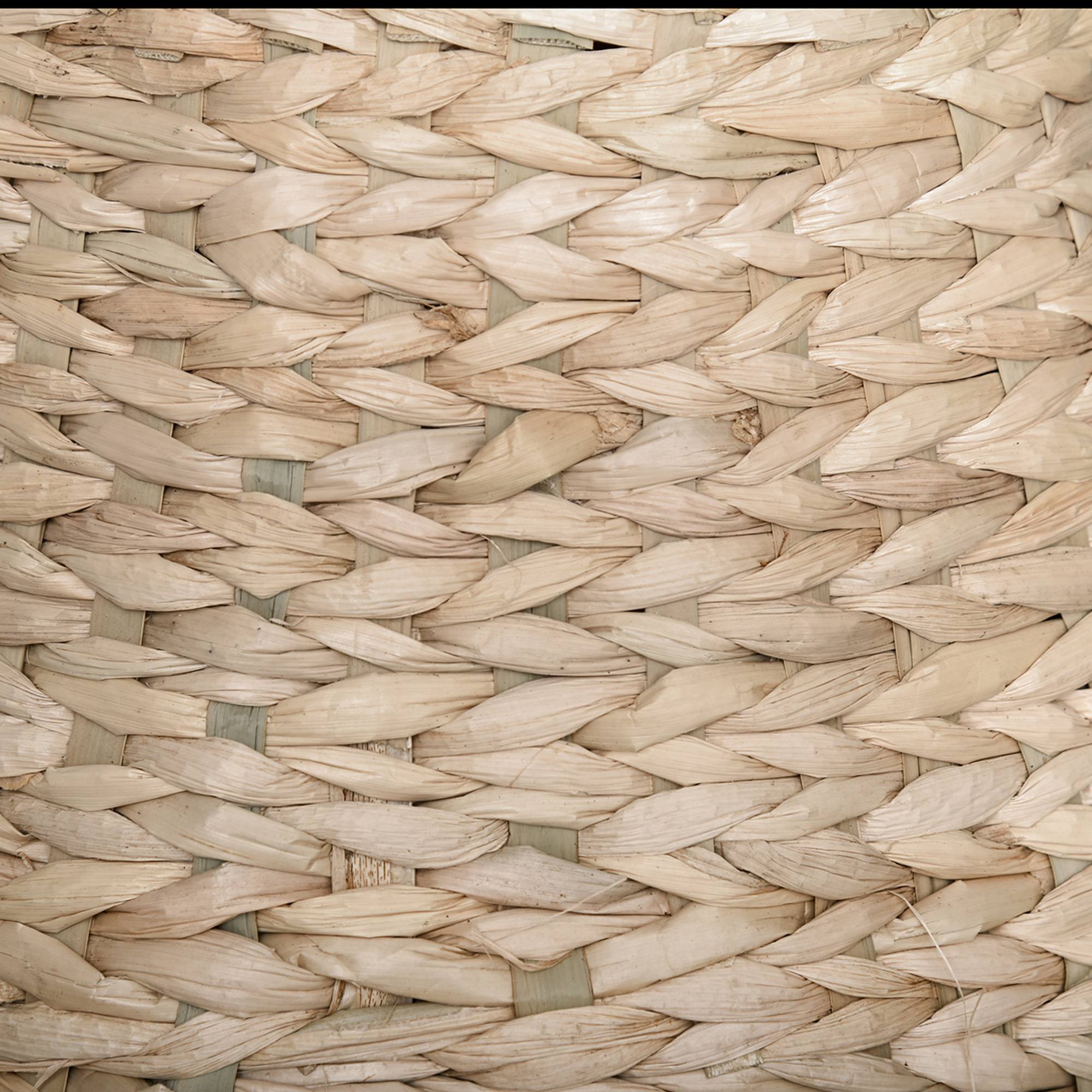 Katzenbaum Kratzbaum Kätzchen Möbel mit Katzenhöhle Ballspielzeug Sisal weiche Plüsch Höhe 82,5 cm Gelb