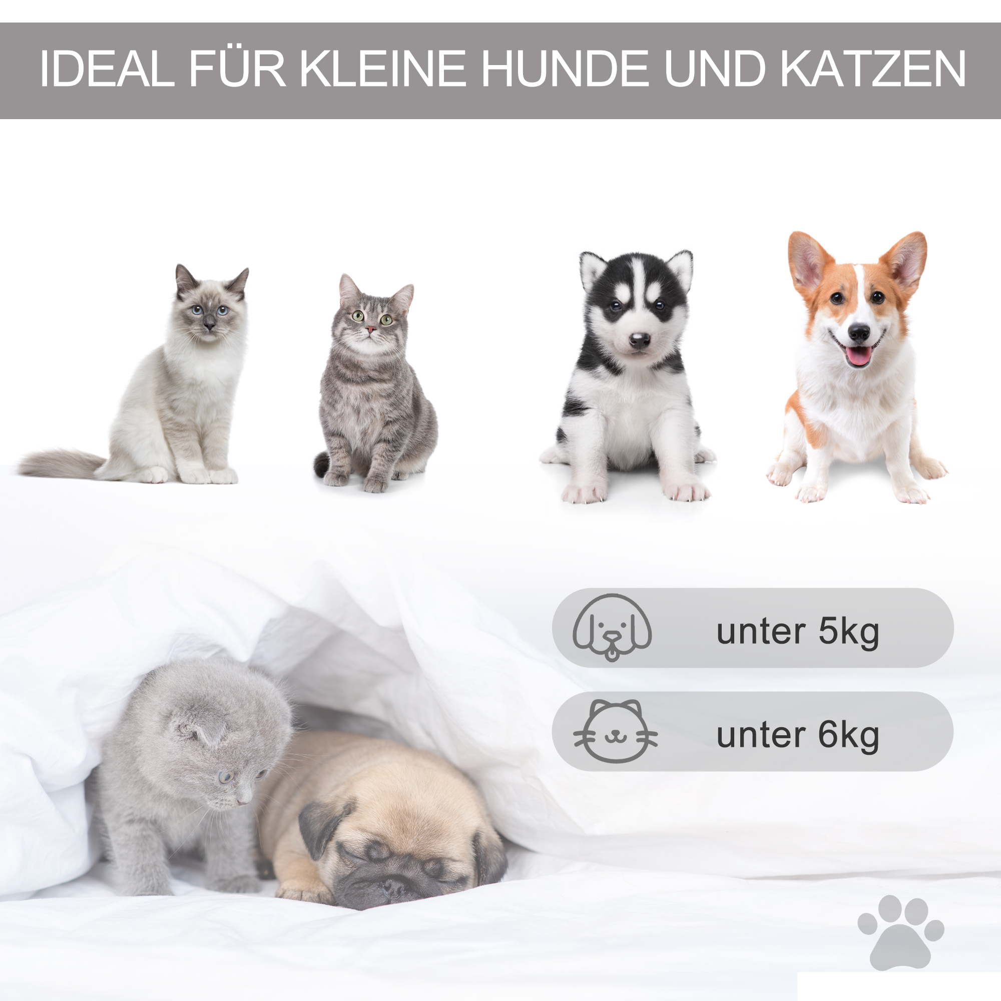 Haustierzelt Katzenhaus Hundezelt Katzenbett Katzenzelt mit weichem Kissen Plüsch Filz maschinenwaschbar Grau 58 x 58 x 80 cm
