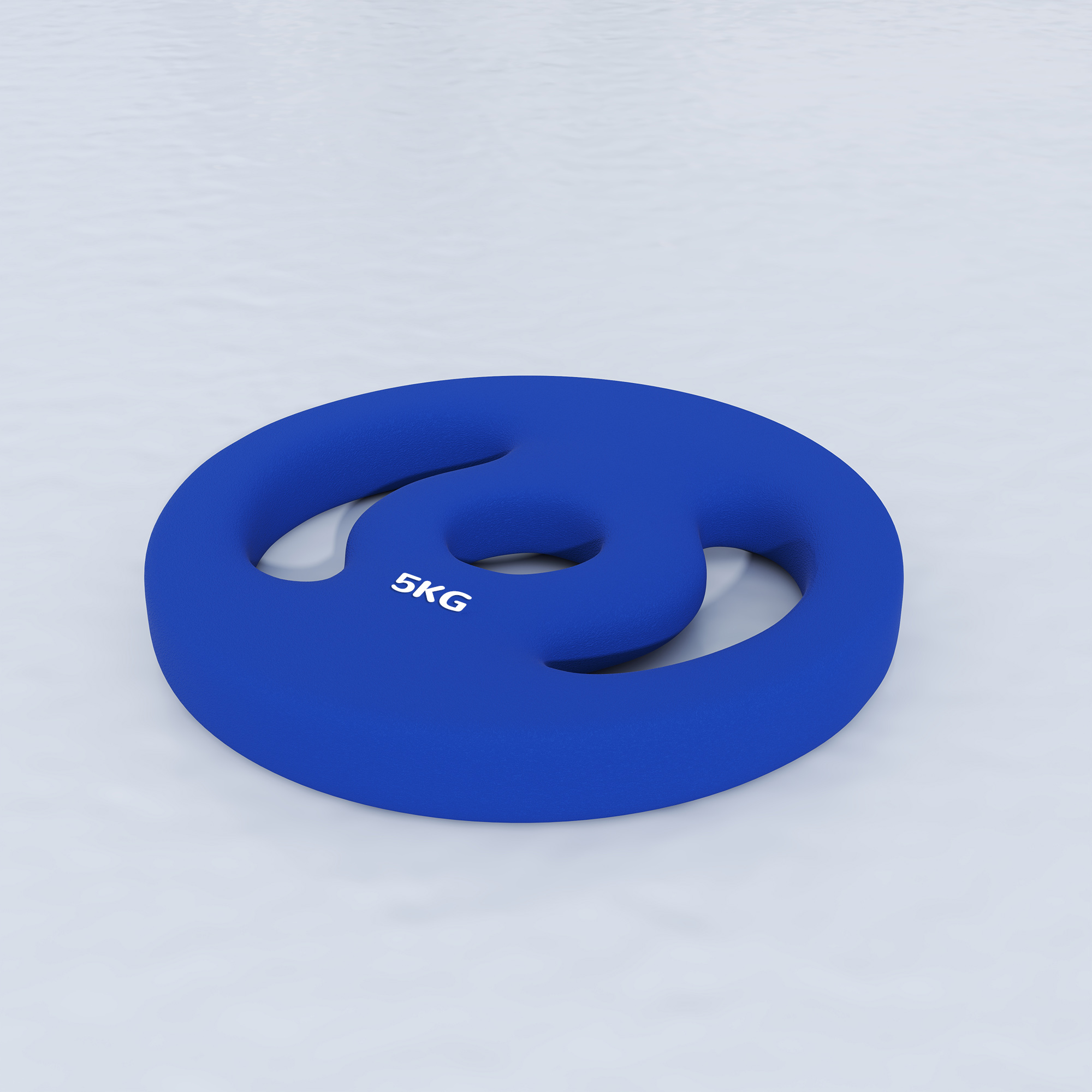 2 x 5 kg Gewichtsplatten mit praktischen Handgriffen, Gewichts-Set für Home-Gym, Fitnessstudio, Stärke-Training, Blau