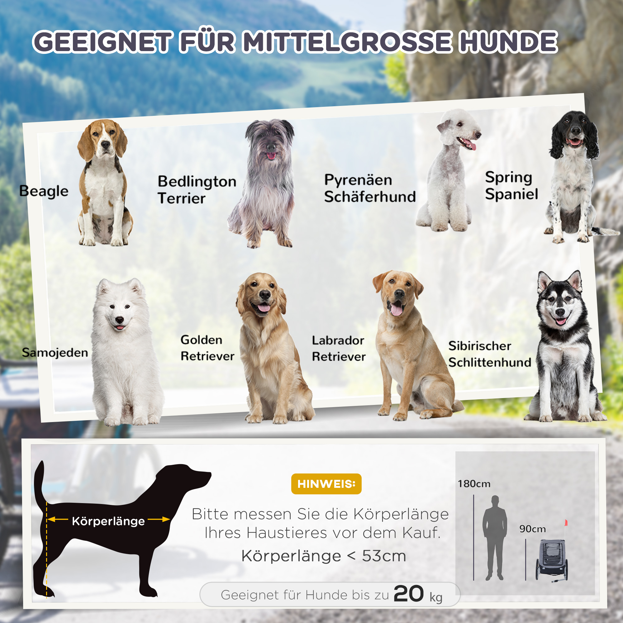 Hundeanhänger, bis 20kg, klappbar, mit Universalkupplung - defekte Verpackung
