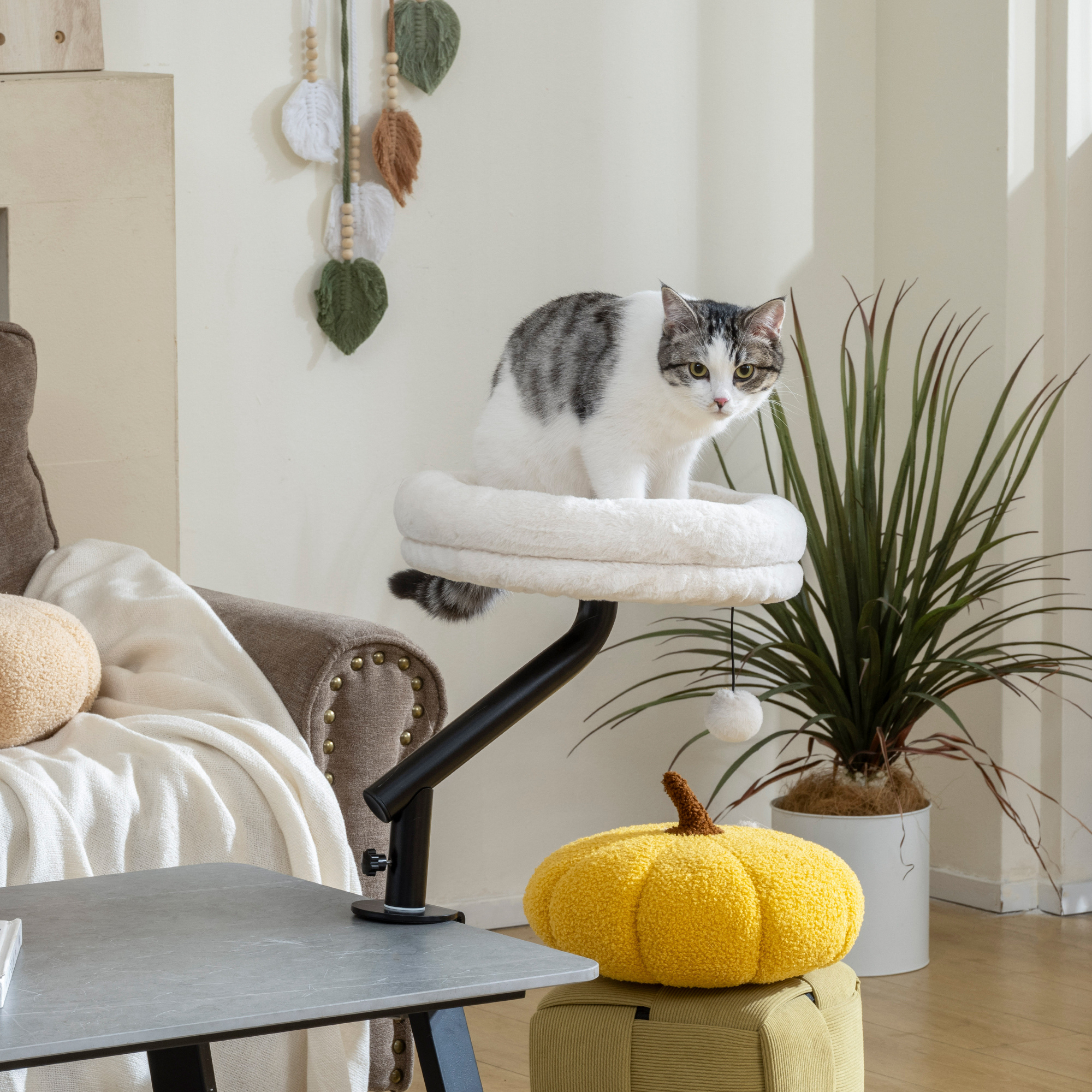 Katzen-Schreibtischbett, Katzenbett für Schreibtisch mit 360°Drehung, verstellbarer Höhe, Katzenliege mit abnehmbarem, maschinenwaschbarem Bett, für Katzen unter 6 kg, Heimbüro, Cremeweiß