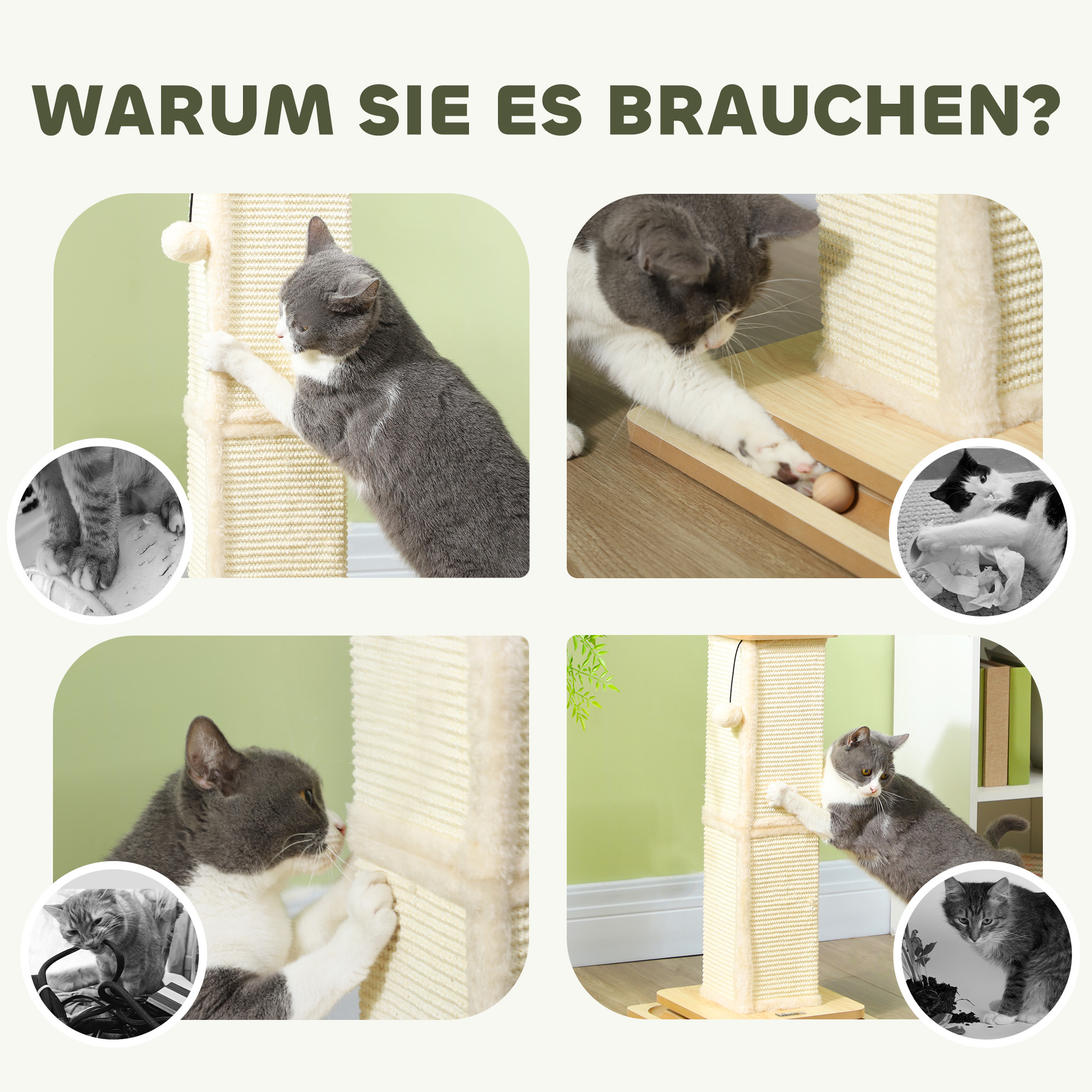 3-in-1-Kratzbaum mit Spielschiene, Spielball, Sisal, bis 5 kg, 34 x 34 x 67 cm, Eiche/Creme