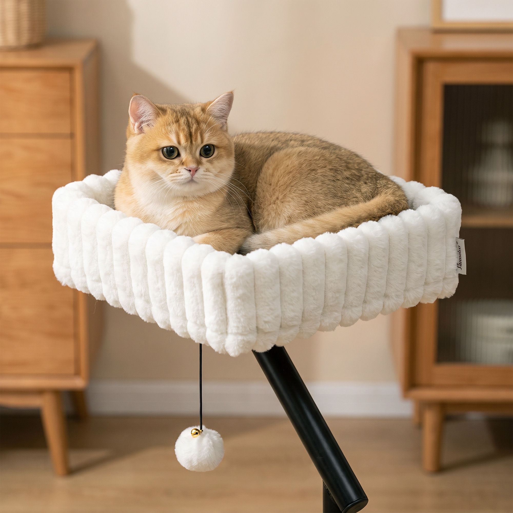 Katzen-Schreibtischbett, Katzenbett für Schreibtisch mit 360°Drehung, Hängeball verstellbare Klemme für Katze unter 6 kg