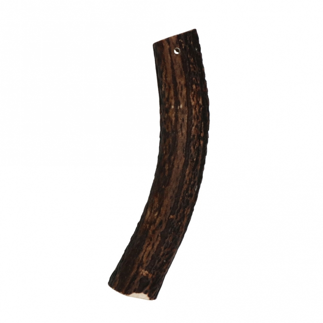 Viking Antler Easy Rothirschgeweih - XL