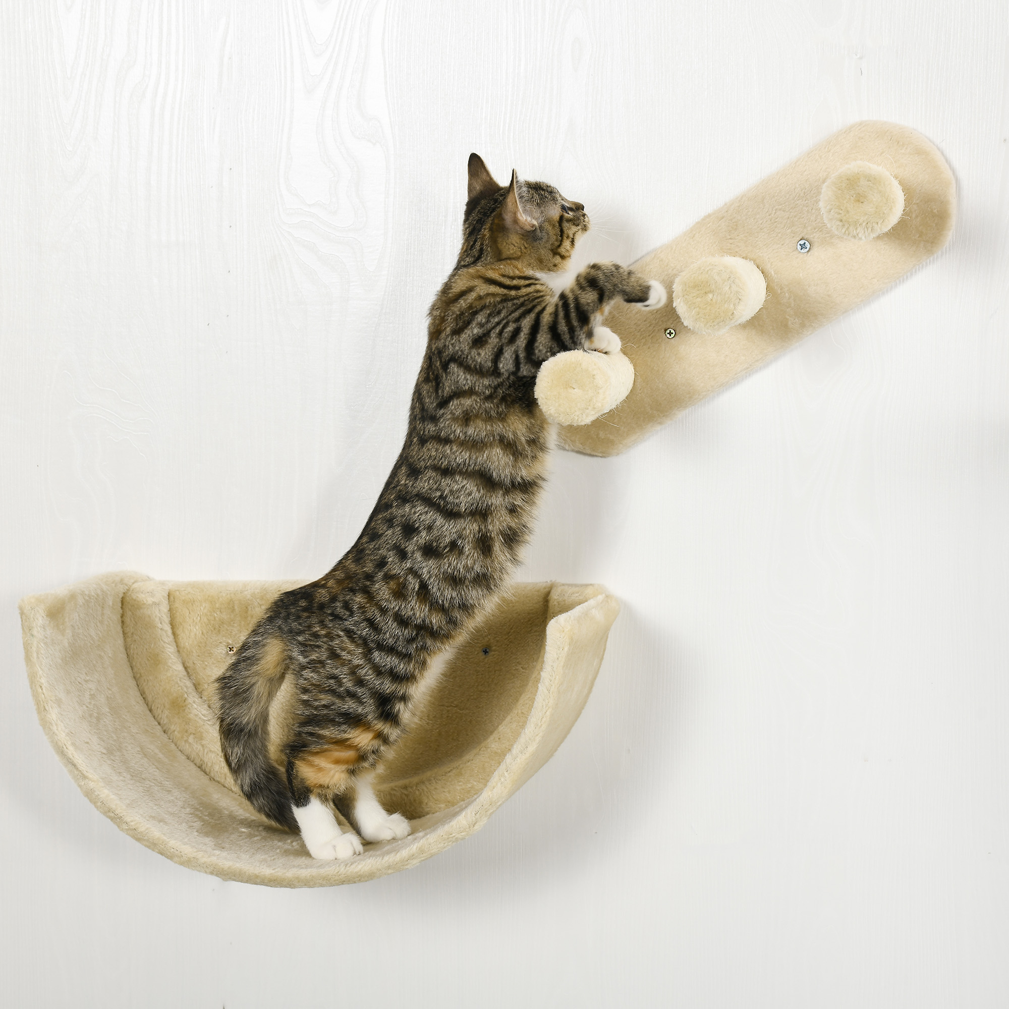 Kletterwand-Set für Katzen, 4-teilig, mit Katzentreppe, Hängematte, Plattform und Kratzbaum, Beige