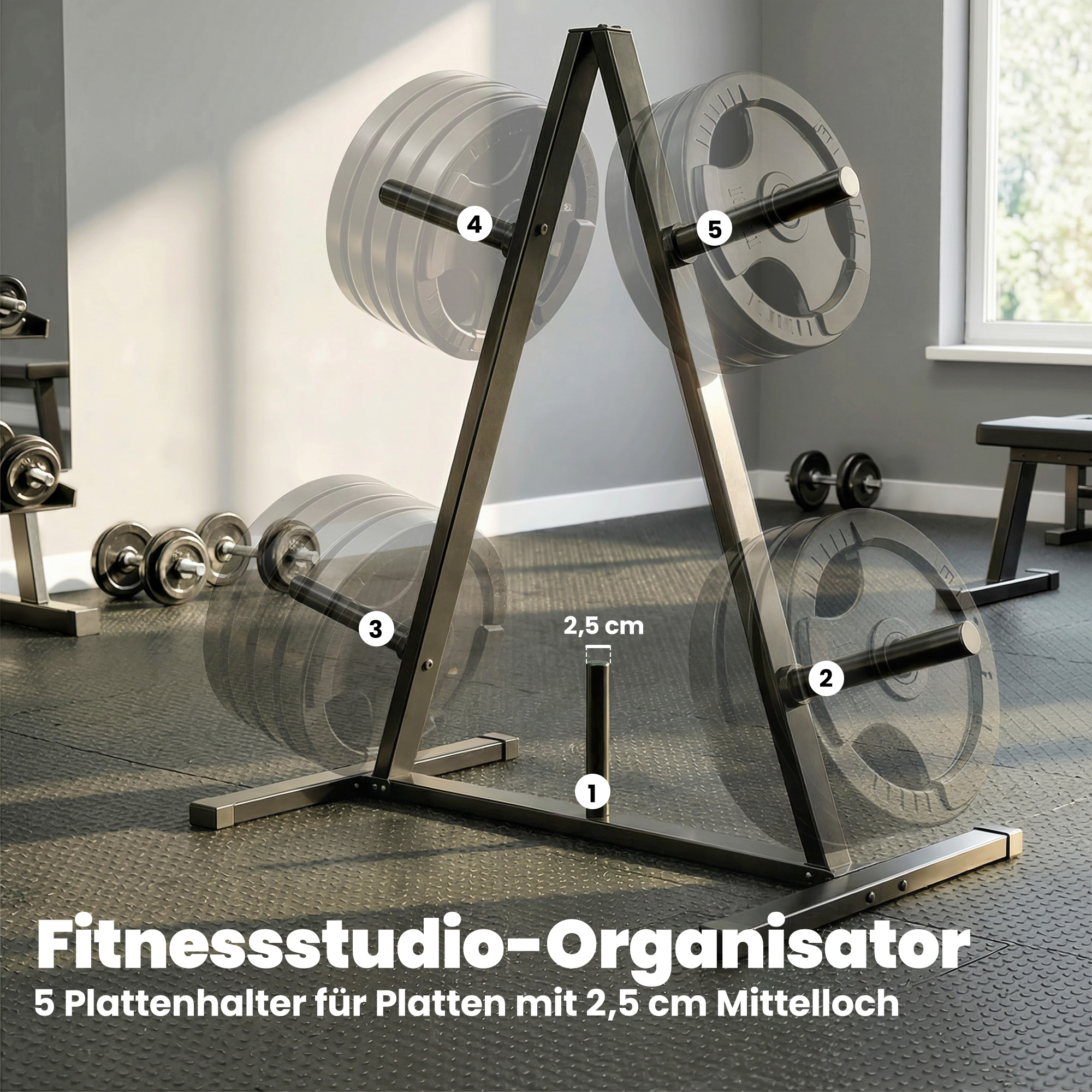 Gewichtsständer für 2,5 cm Gewichtsscheiben, 200 kg Kapazität, Gewichtsständer