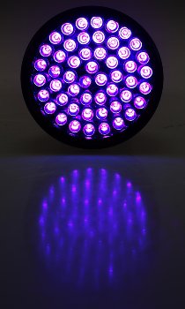 LED-Taschenlampe mit 51 UV LEDs, Schwarzlicht, ØxL 55x145mm