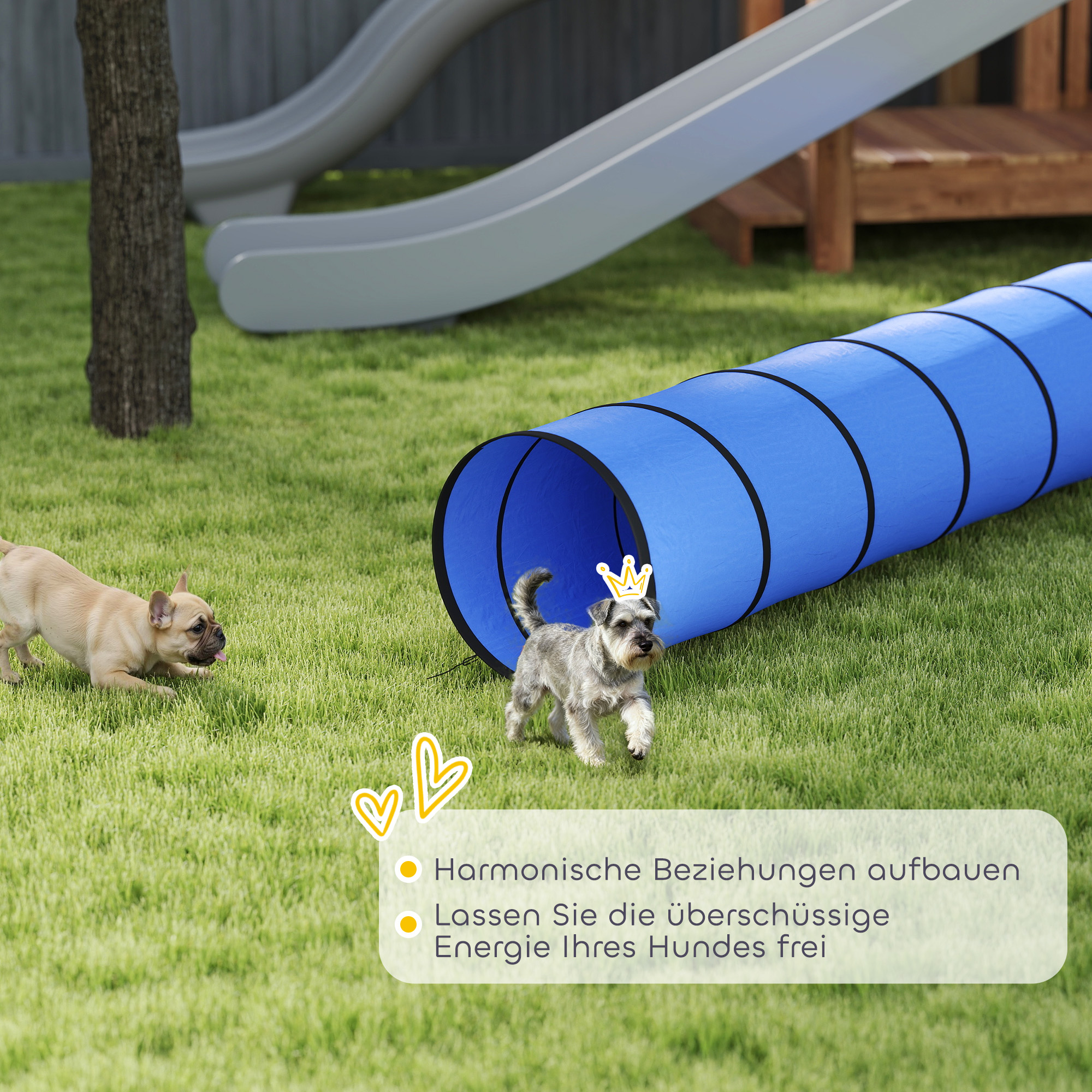 Hunde Agility Tunnel 300 x 50 cm Hundetunnel mit 4 Bodenankern Tragetasche Spieltunnel für kleine mittelgroße Hunde Blau