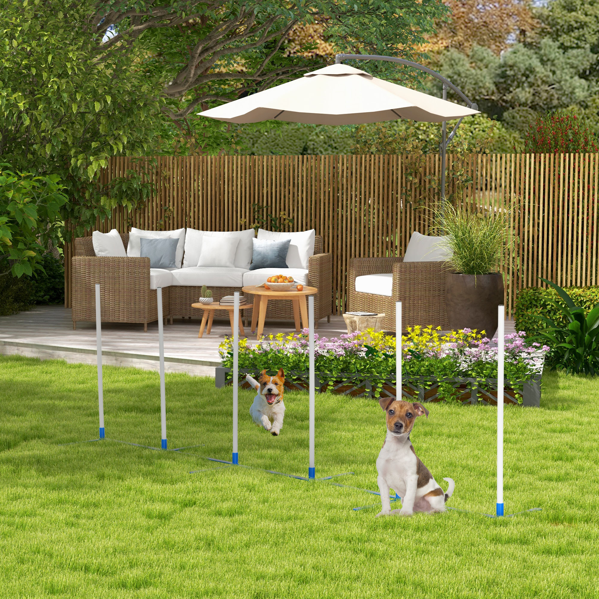 Agility Set Hunde 6-teiliges Agility-Ausrüstung für Hundetraining klappbar Steckhürdenset mit 6 Slalomstangen Tragetasche Trainingszubehör Koordinationstraining Agilityset für Spiele Training